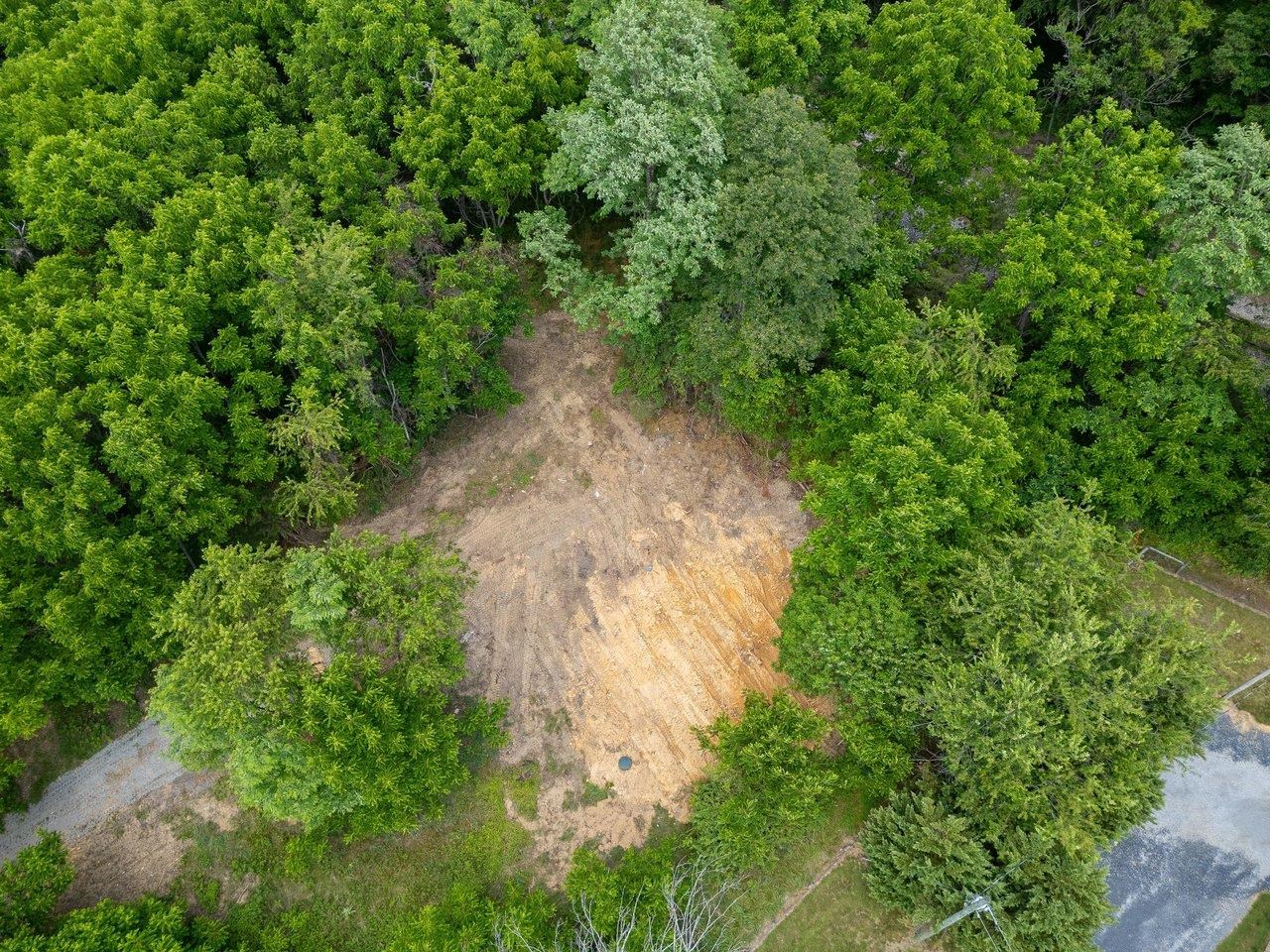 456 DABNEYS RD, RAPHINE, Virginia 24472, ,Land,456 DABNEYS RD,678593 MLS # 678593 456 DABNEYS RD, RAPHINE, Virginia 24472, ,Land,456 DABNEYS RD,678593 MLS # 678593