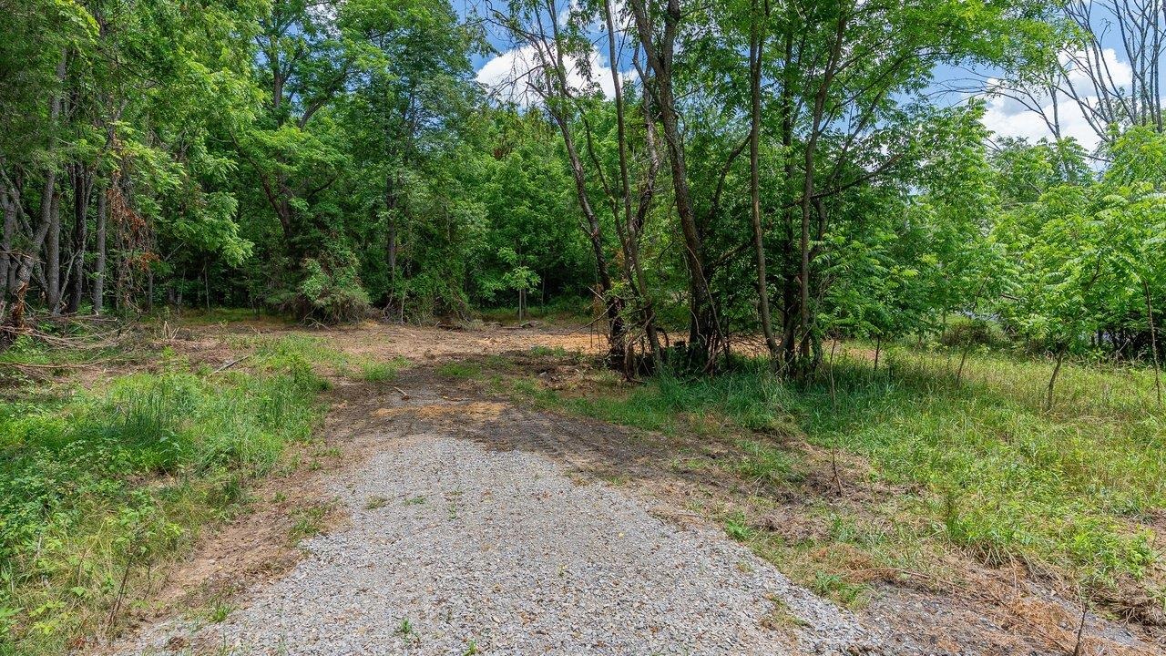 456 DABNEYS RD, RAPHINE, Virginia 24472, ,Land,456 DABNEYS RD,678593 MLS # 678593 456 DABNEYS RD, RAPHINE, Virginia 24472, ,Land,456 DABNEYS RD,678593 MLS # 678593