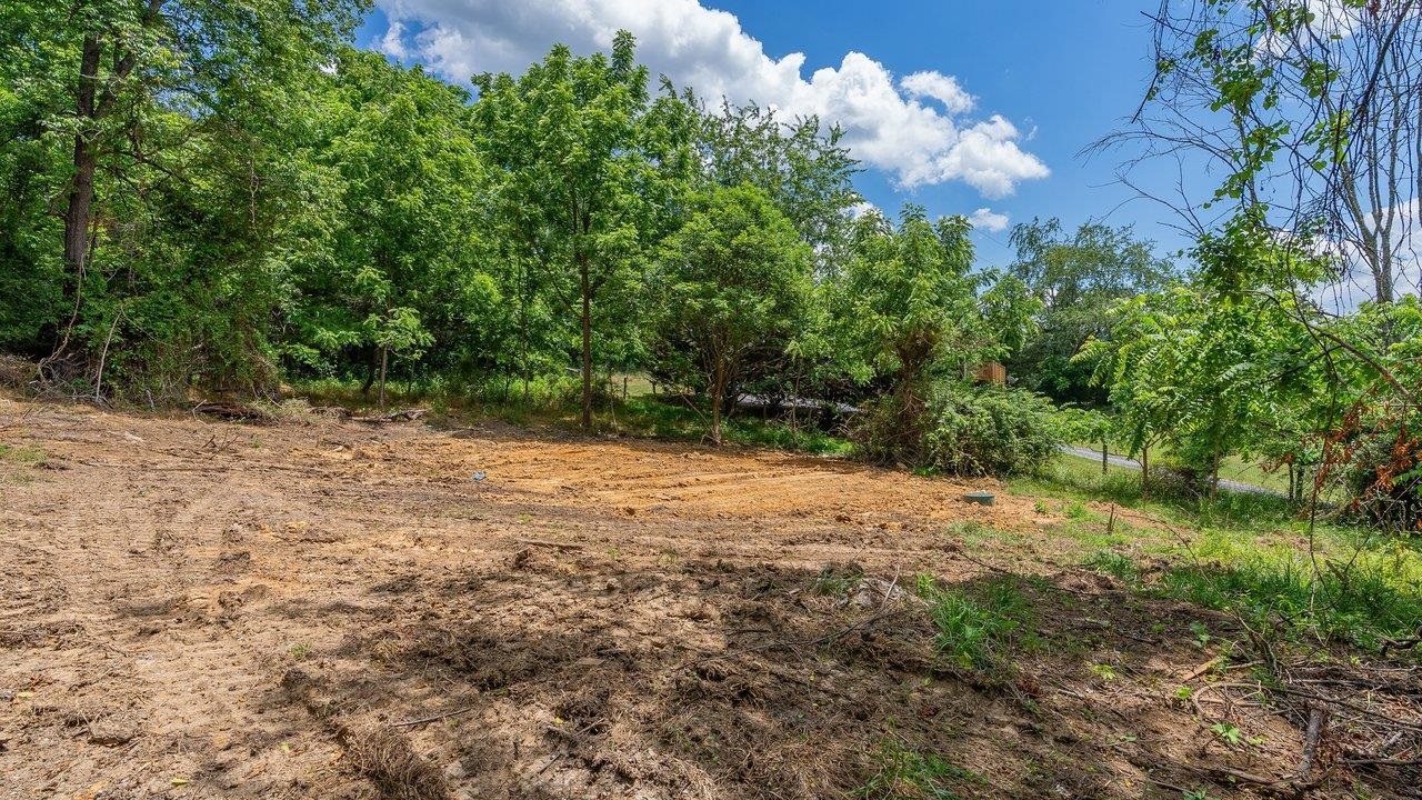 456 DABNEYS RD, RAPHINE, Virginia 24472, ,Land,456 DABNEYS RD,678593 MLS # 678593 456 DABNEYS RD, RAPHINE, Virginia 24472, ,Land,456 DABNEYS RD,678593 MLS # 678593