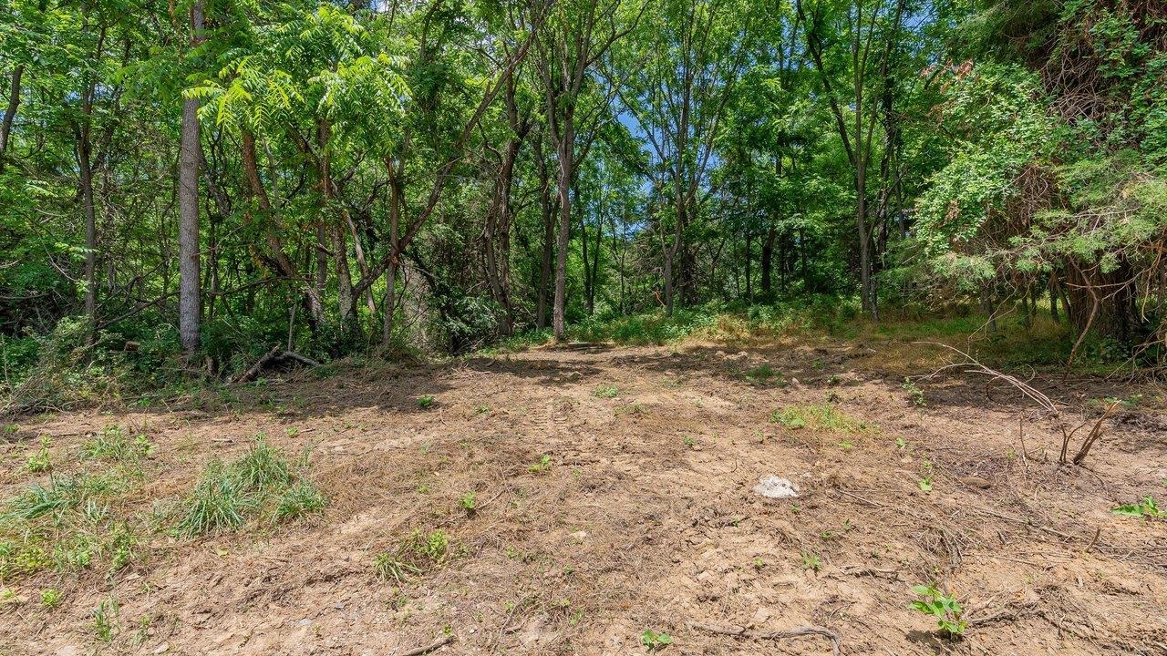 456 DABNEYS RD, RAPHINE, Virginia 24472, ,Land,456 DABNEYS RD,678593 MLS # 678593 456 DABNEYS RD, RAPHINE, Virginia 24472, ,Land,456 DABNEYS RD,678593 MLS # 678593