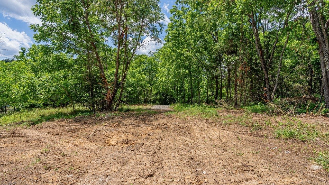 456 DABNEYS RD, RAPHINE, Virginia 24472, ,Land,456 DABNEYS RD,678593 MLS # 678593 456 DABNEYS RD, RAPHINE, Virginia 24472, ,Land,456 DABNEYS RD,678593 MLS # 678593