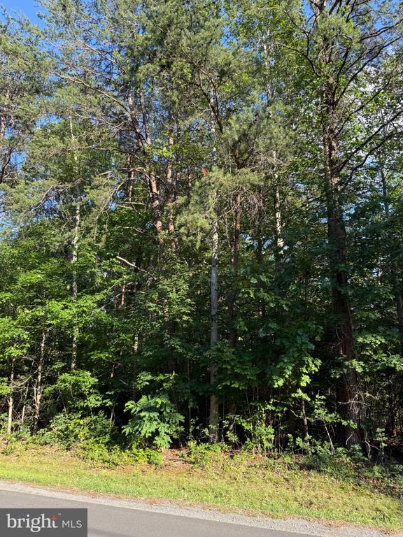 KIRTLEY TRL, CULPEPER, Virginia 22701, ,Land,KIRTLEY TRL,VACU2014072 MLS # VACU2014072 KIRTLEY TRL, CULPEPER, Virginia 22701, ,Land,KIRTLEY TRL,VACU2014072 MLS # VACU2014072