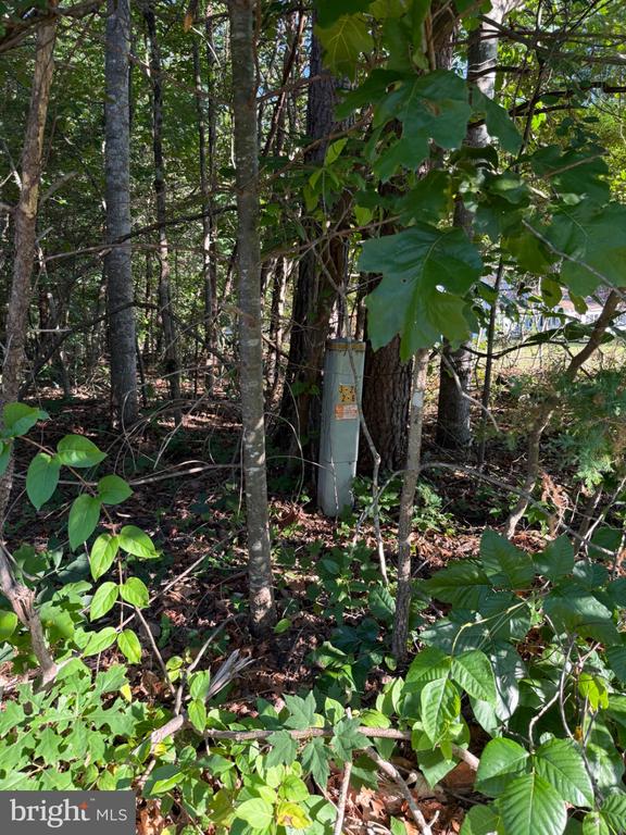 KIRTLEY TRL, CULPEPER, Virginia 22701, ,Land,KIRTLEY TRL,VACU2014072 MLS # VACU2014072 KIRTLEY TRL, CULPEPER, Virginia 22701, ,Land,KIRTLEY TRL,VACU2014072 MLS # VACU2014072