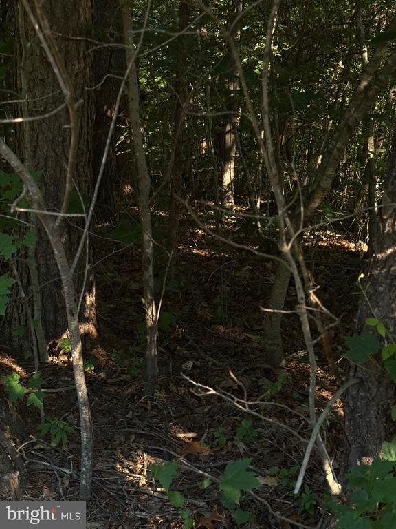 KIRTLEY TRL, CULPEPER, Virginia 22701, ,Land,KIRTLEY TRL,VACU2014072 MLS # VACU2014072 KIRTLEY TRL, CULPEPER, Virginia 22701, ,Land,KIRTLEY TRL,VACU2014072 MLS # VACU2014072