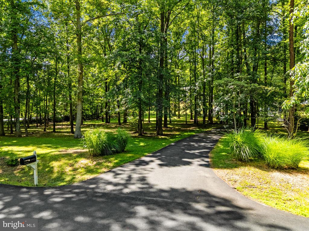 5032 CANTER LANE, WARRENTON, Virginia 20187, 4 Bedrooms Bedrooms, ,2 BathroomsBathrooms,Residential,5032 CANTER LANE,VAFQ2022446 MLS # VAFQ2022446 5032 CANTER LANE, WARRENTON, Virginia 20187, 4 Bedrooms Bedrooms, ,2 BathroomsBathrooms,Residential,5032 CANTER LANE,VAFQ2022446 MLS # VAFQ2022446