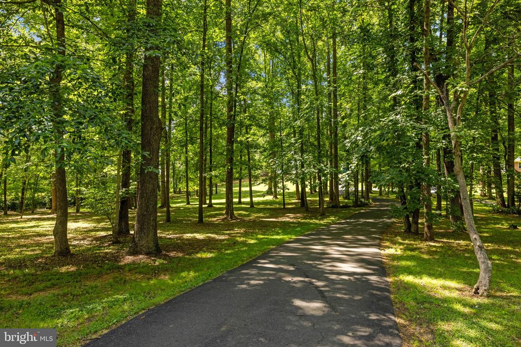 5032 CANTER LANE, WARRENTON, Virginia 20187, 4 Bedrooms Bedrooms, ,2 BathroomsBathrooms,Residential,5032 CANTER LANE,VAFQ2022446 MLS # VAFQ2022446 5032 CANTER LANE, WARRENTON, Virginia 20187, 4 Bedrooms Bedrooms, ,2 BathroomsBathrooms,Residential,5032 CANTER LANE,VAFQ2022446 MLS # VAFQ2022446