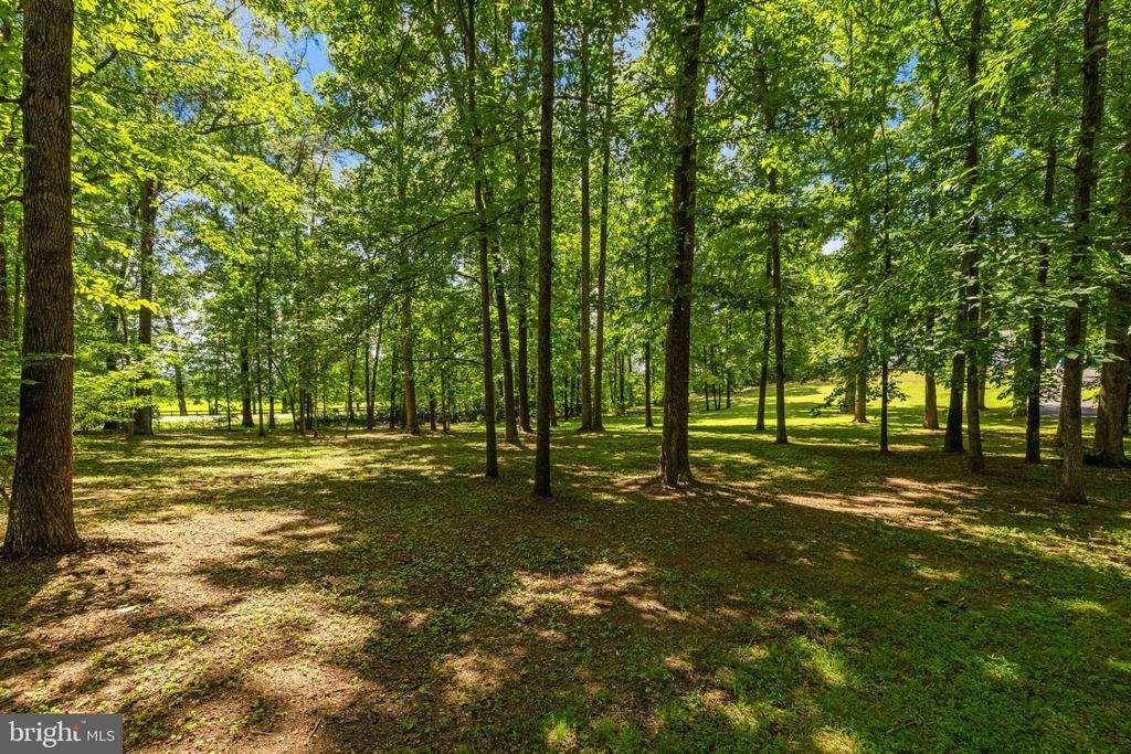 5032 CANTER LANE, WARRENTON, Virginia 20187, 4 Bedrooms Bedrooms, ,2 BathroomsBathrooms,Residential,5032 CANTER LANE,VAFQ2022446 MLS # VAFQ2022446 5032 CANTER LANE, WARRENTON, Virginia 20187, 4 Bedrooms Bedrooms, ,2 BathroomsBathrooms,Residential,5032 CANTER LANE,VAFQ2022446 MLS # VAFQ2022446