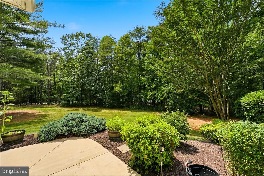 9133 ANCHOR RD, CULPEPER, Virginia 22701, 3 Bedrooms Bedrooms, ,3 BathroomsBathrooms,Residential,9133 ANCHOR RD,VACU2013918 MLS # VACU2013918 9133 ANCHOR RD, CULPEPER, Virginia 22701, 3 Bedrooms Bedrooms, ,3 BathroomsBathrooms,Residential,9133 ANCHOR RD,VACU2013918 MLS # VACU2013918