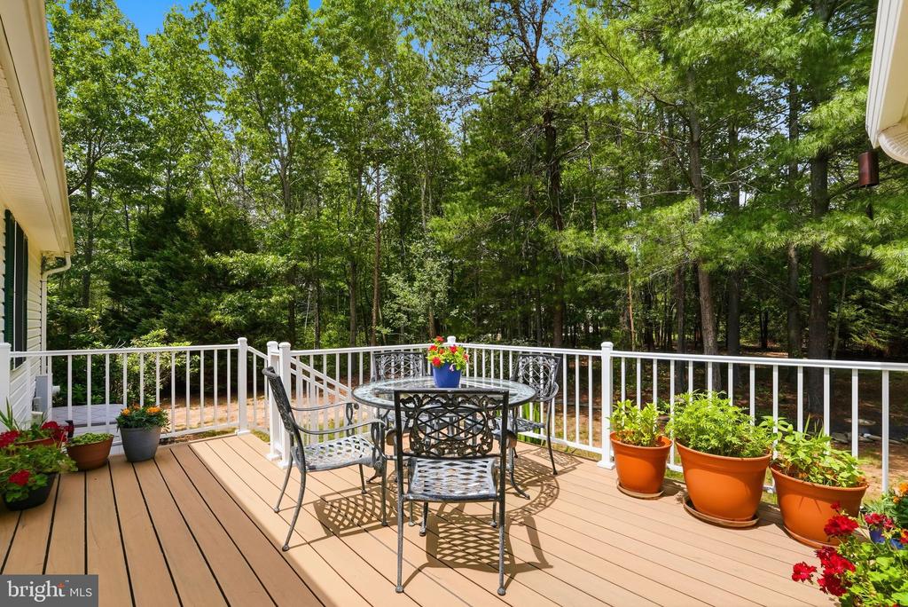 9133 ANCHOR RD, CULPEPER, Virginia 22701, 3 Bedrooms Bedrooms, ,3 BathroomsBathrooms,Residential,9133 ANCHOR RD,VACU2013918 MLS # VACU2013918 9133 ANCHOR RD, CULPEPER, Virginia 22701, 3 Bedrooms Bedrooms, ,3 BathroomsBathrooms,Residential,9133 ANCHOR RD,VACU2013918 MLS # VACU2013918
