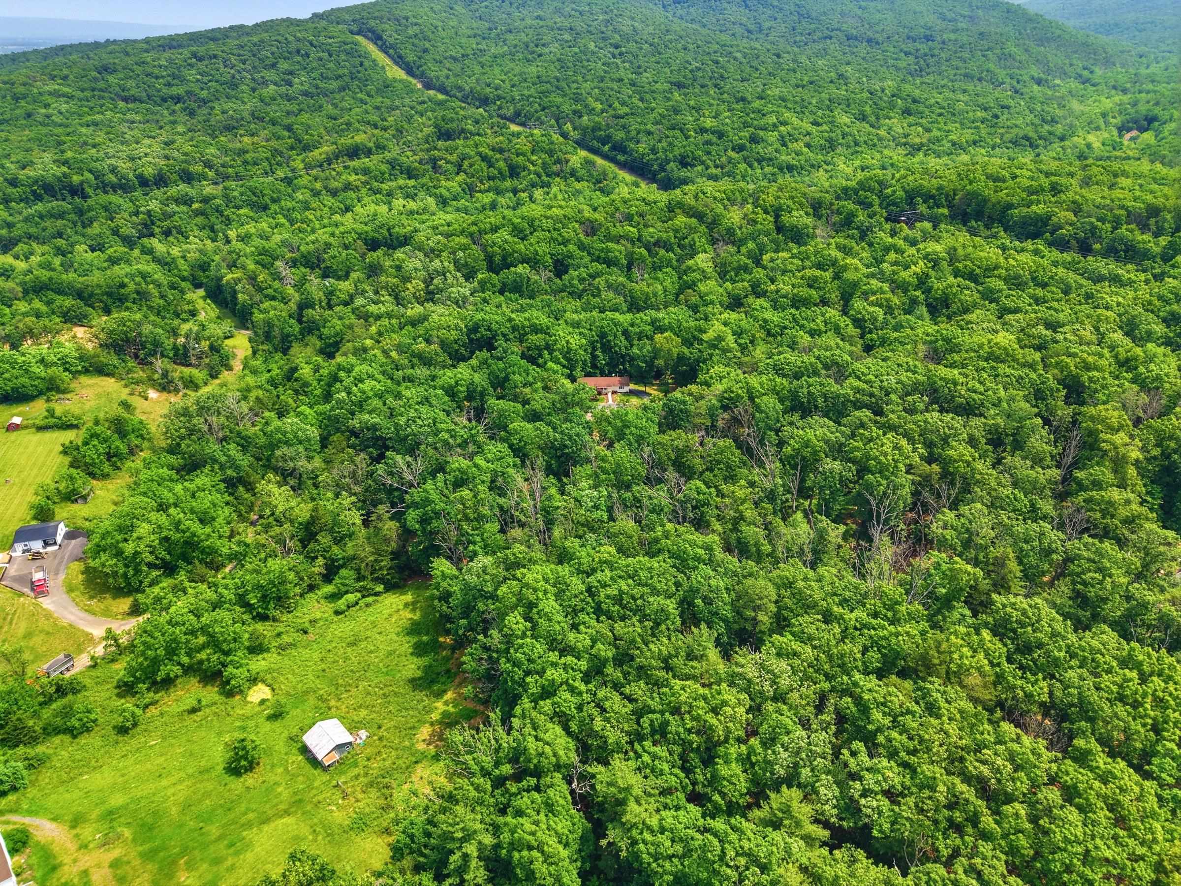 356 WHITE OAK LN, NEW MARKET, Virginia 22844, 3 Bedrooms Bedrooms, ,2 BathroomsBathrooms,Residential,356 WHITE OAK LN,678439 MLS # 678439 356 WHITE OAK LN, NEW MARKET, Virginia 22844, 3 Bedrooms Bedrooms, ,2 BathroomsBathrooms,Residential,356 WHITE OAK LN,678439 MLS # 678439