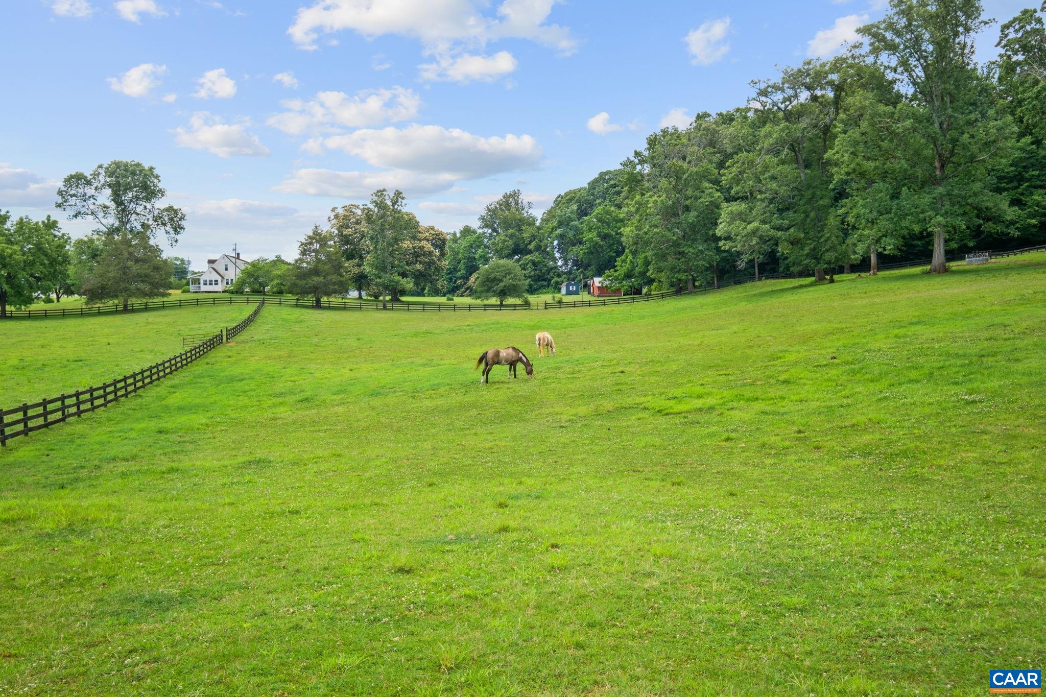 295 FAIRGROUND RD, MADISON, Virginia 22727, 4 Bedrooms Bedrooms, ,3 BathroomsBathrooms,Residential,GAITED KNOLL,295 FAIRGROUND RD,678517 MLS # 678517 295 FAIRGROUND RD, MADISON, Virginia 22727, 4 Bedrooms Bedrooms, ,3 BathroomsBathrooms,Residential,GAITED KNOLL,295 FAIRGROUND RD,678517 MLS # 678517