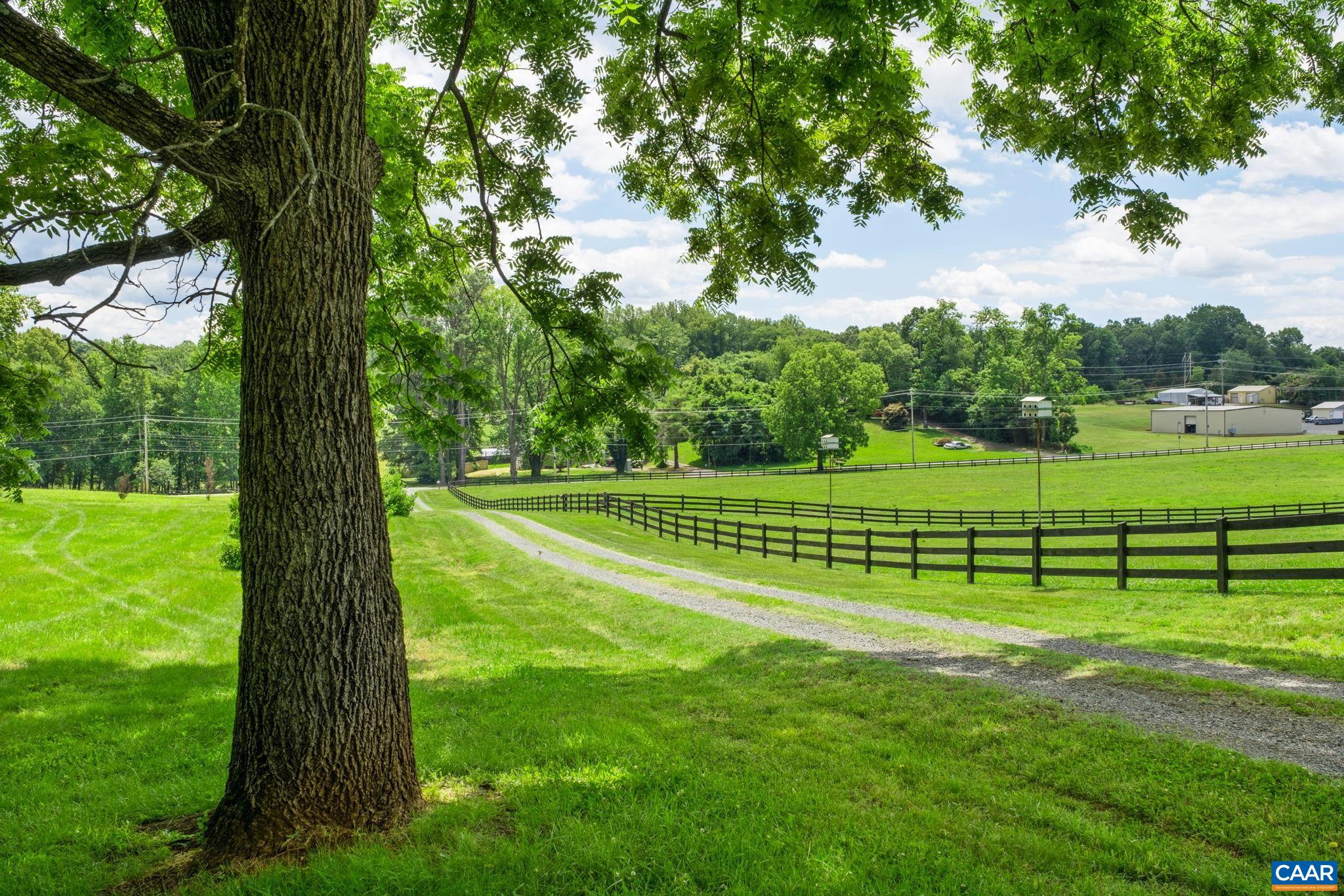 295 FAIRGROUND RD, MADISON, Virginia 22727, 4 Bedrooms Bedrooms, ,3 BathroomsBathrooms,Residential,GAITED KNOLL,295 FAIRGROUND RD,678517 MLS # 678517 295 FAIRGROUND RD, MADISON, Virginia 22727, 4 Bedrooms Bedrooms, ,3 BathroomsBathrooms,Residential,GAITED KNOLL,295 FAIRGROUND RD,678517 MLS # 678517