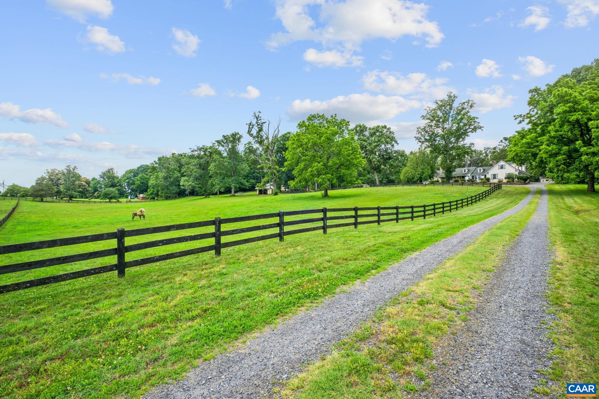 295 FAIRGROUND RD, MADISON, Virginia 22727, 4 Bedrooms Bedrooms, ,3 BathroomsBathrooms,Residential,GAITED KNOLL,295 FAIRGROUND RD,678517 MLS # 678517 295 FAIRGROUND RD, MADISON, Virginia 22727, 4 Bedrooms Bedrooms, ,3 BathroomsBathrooms,Residential,GAITED KNOLL,295 FAIRGROUND RD,678517 MLS # 678517
