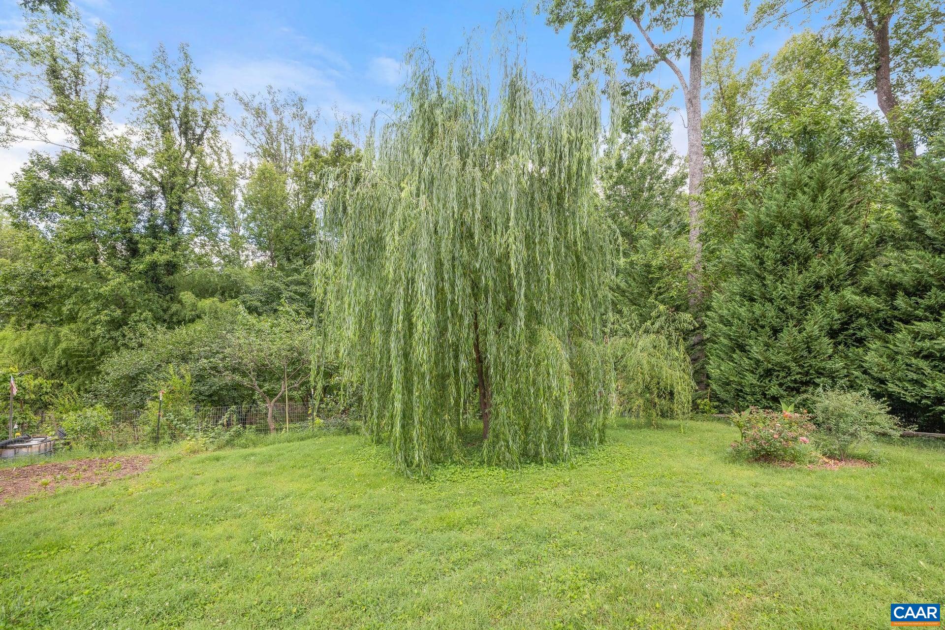 2417 ANGUS RD, CHARLOTTESVILLE, Virginia 22901, 4 Bedrooms Bedrooms, ,2 BathroomsBathrooms,Residential,2417 ANGUS RD,678527 MLS # 678527 2417 ANGUS RD, CHARLOTTESVILLE, Virginia 22901, 4 Bedrooms Bedrooms, ,2 BathroomsBathrooms,Residential,2417 ANGUS RD,678527 MLS # 678527