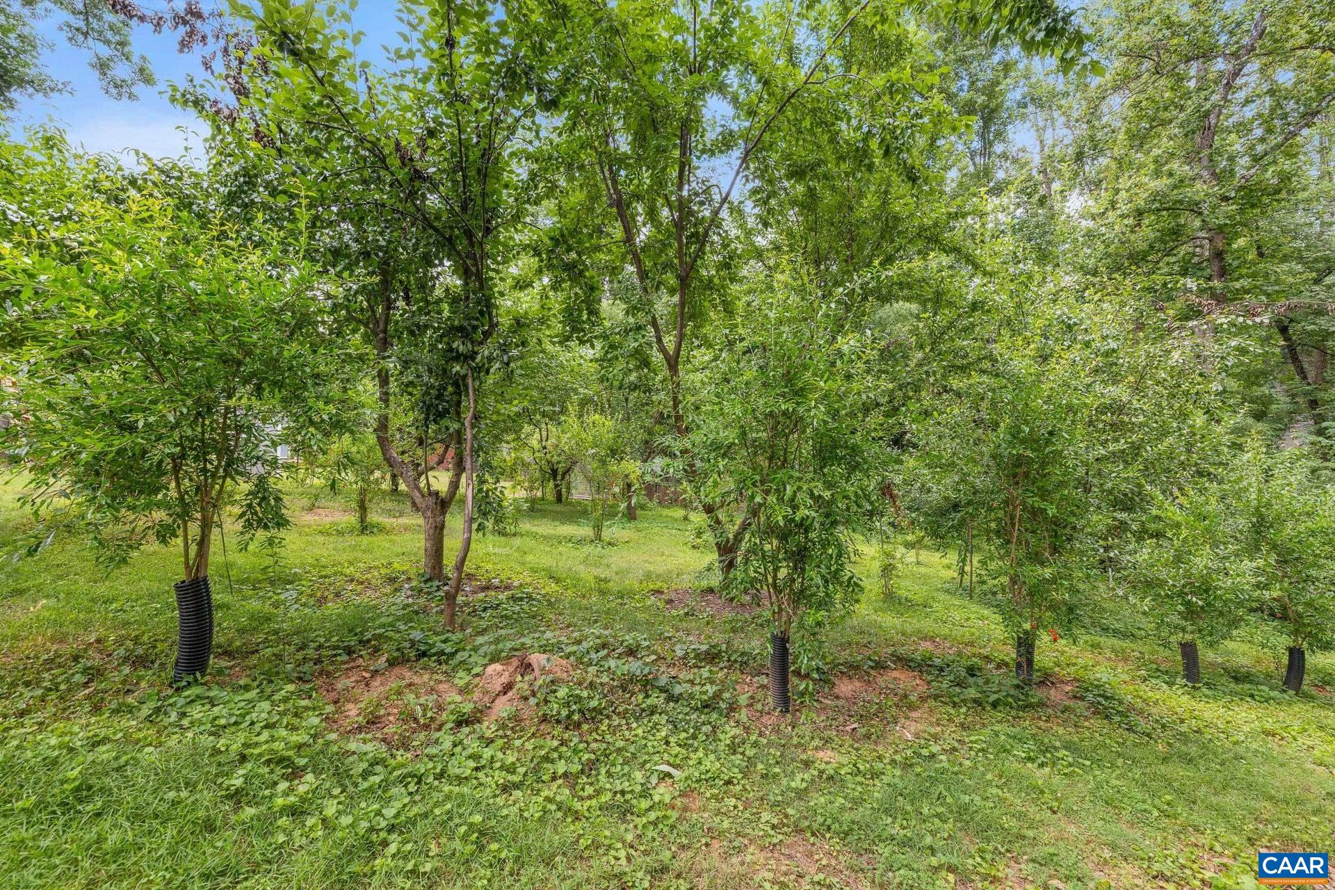 2417 ANGUS RD, CHARLOTTESVILLE, Virginia 22901, 4 Bedrooms Bedrooms, ,2 BathroomsBathrooms,Residential,2417 ANGUS RD,678527 MLS # 678527 2417 ANGUS RD, CHARLOTTESVILLE, Virginia 22901, 4 Bedrooms Bedrooms, ,2 BathroomsBathrooms,Residential,2417 ANGUS RD,678527 MLS # 678527
