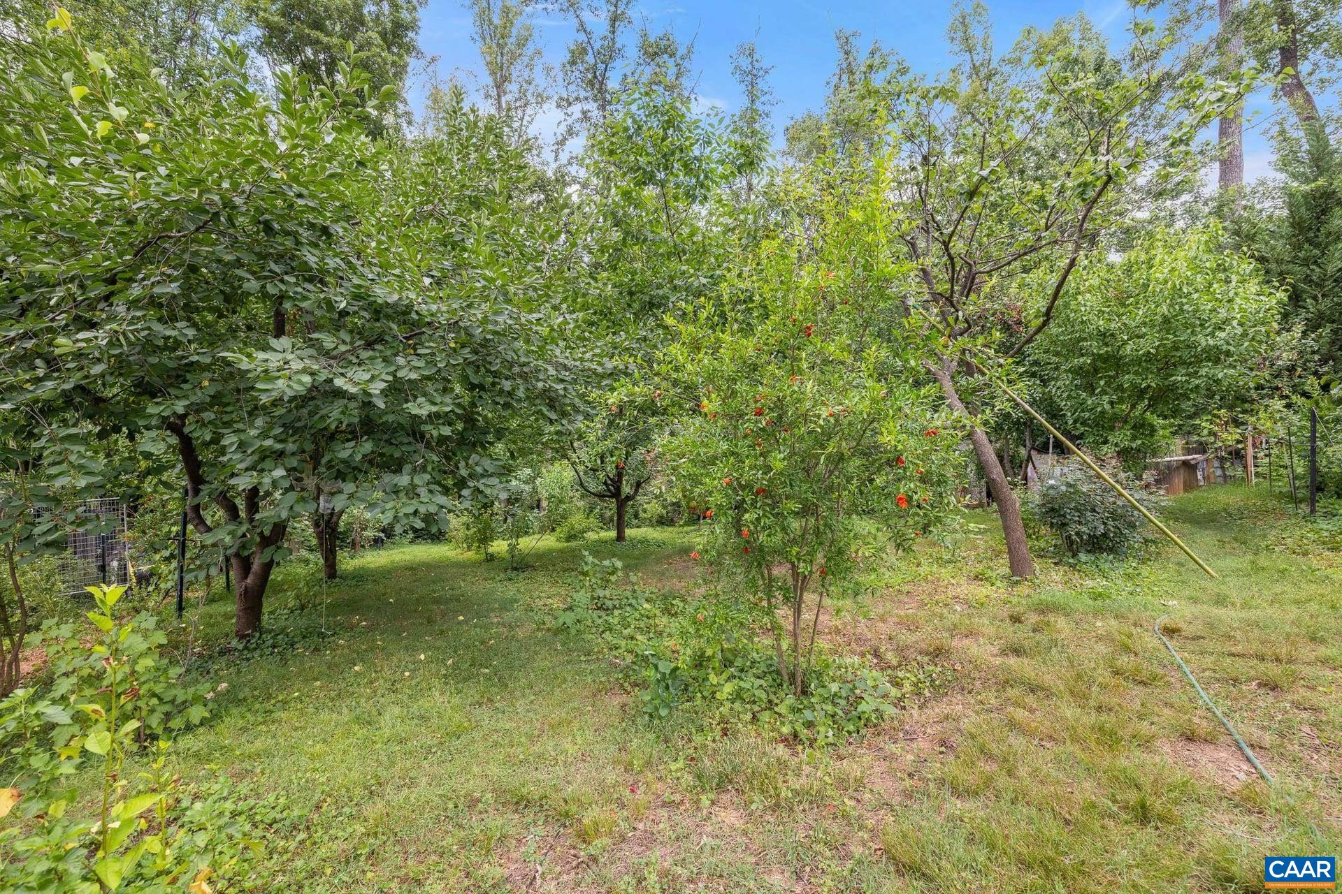 2417 ANGUS RD, CHARLOTTESVILLE, Virginia 22901, 4 Bedrooms Bedrooms, ,2 BathroomsBathrooms,Residential,2417 ANGUS RD,678527 MLS # 678527 2417 ANGUS RD, CHARLOTTESVILLE, Virginia 22901, 4 Bedrooms Bedrooms, ,2 BathroomsBathrooms,Residential,2417 ANGUS RD,678527 MLS # 678527