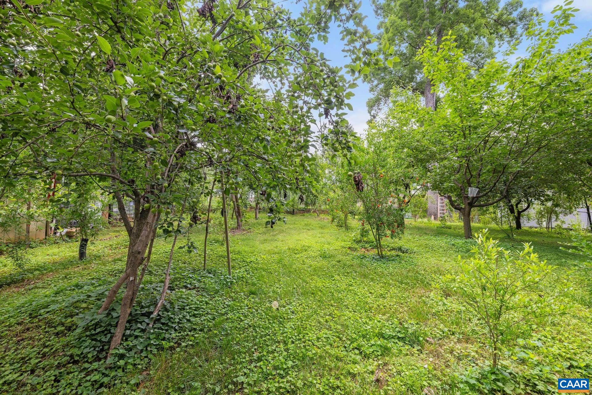 2417 ANGUS RD, CHARLOTTESVILLE, Virginia 22901, 4 Bedrooms Bedrooms, ,2 BathroomsBathrooms,Residential,2417 ANGUS RD,678527 MLS # 678527 2417 ANGUS RD, CHARLOTTESVILLE, Virginia 22901, 4 Bedrooms Bedrooms, ,2 BathroomsBathrooms,Residential,2417 ANGUS RD,678527 MLS # 678527