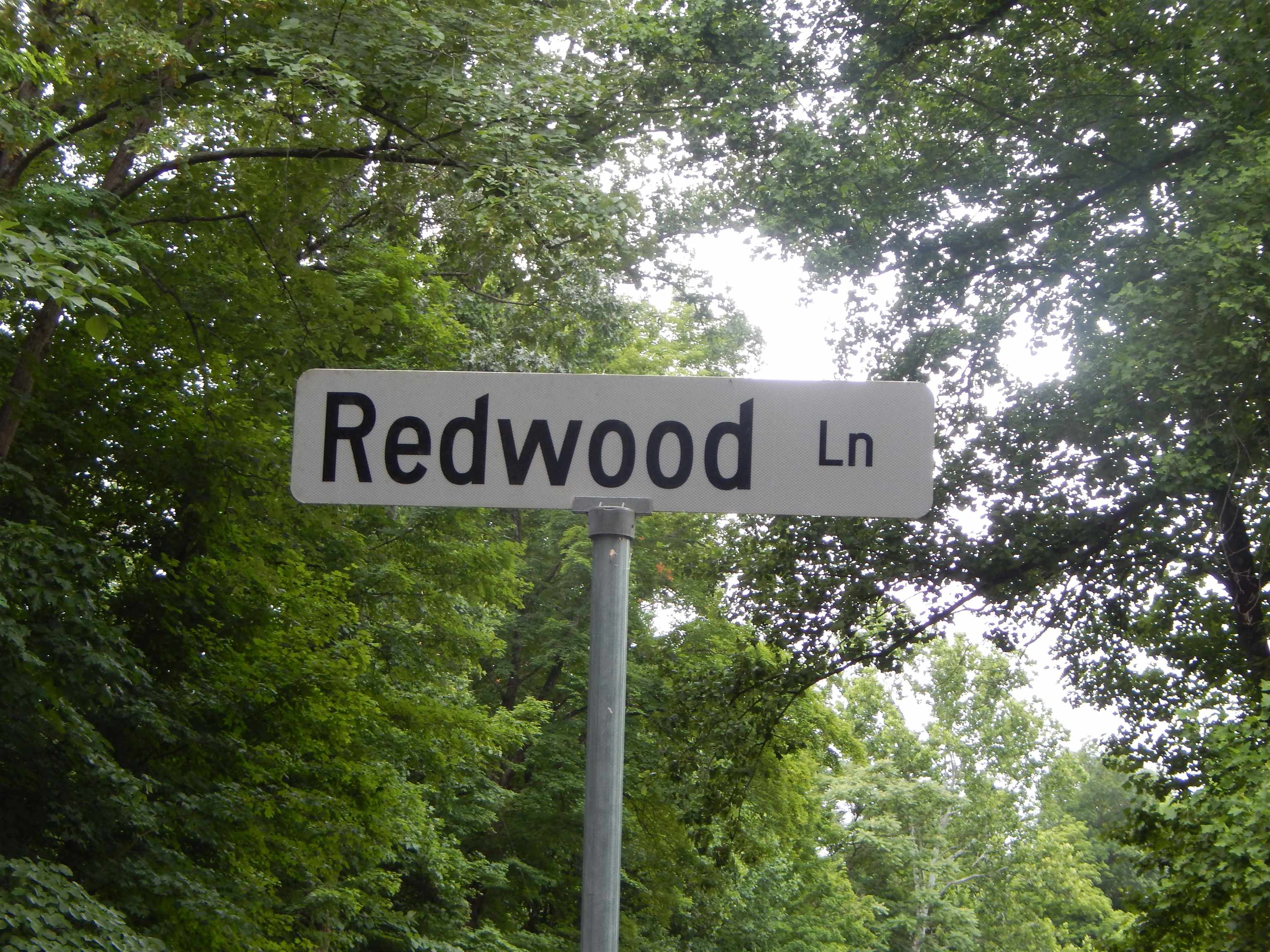 43 CODY LN, MOUNT SOLON, Virginia 22843, ,Land,Keith W Litten,43 CODY LN,678596 MLS # 678596