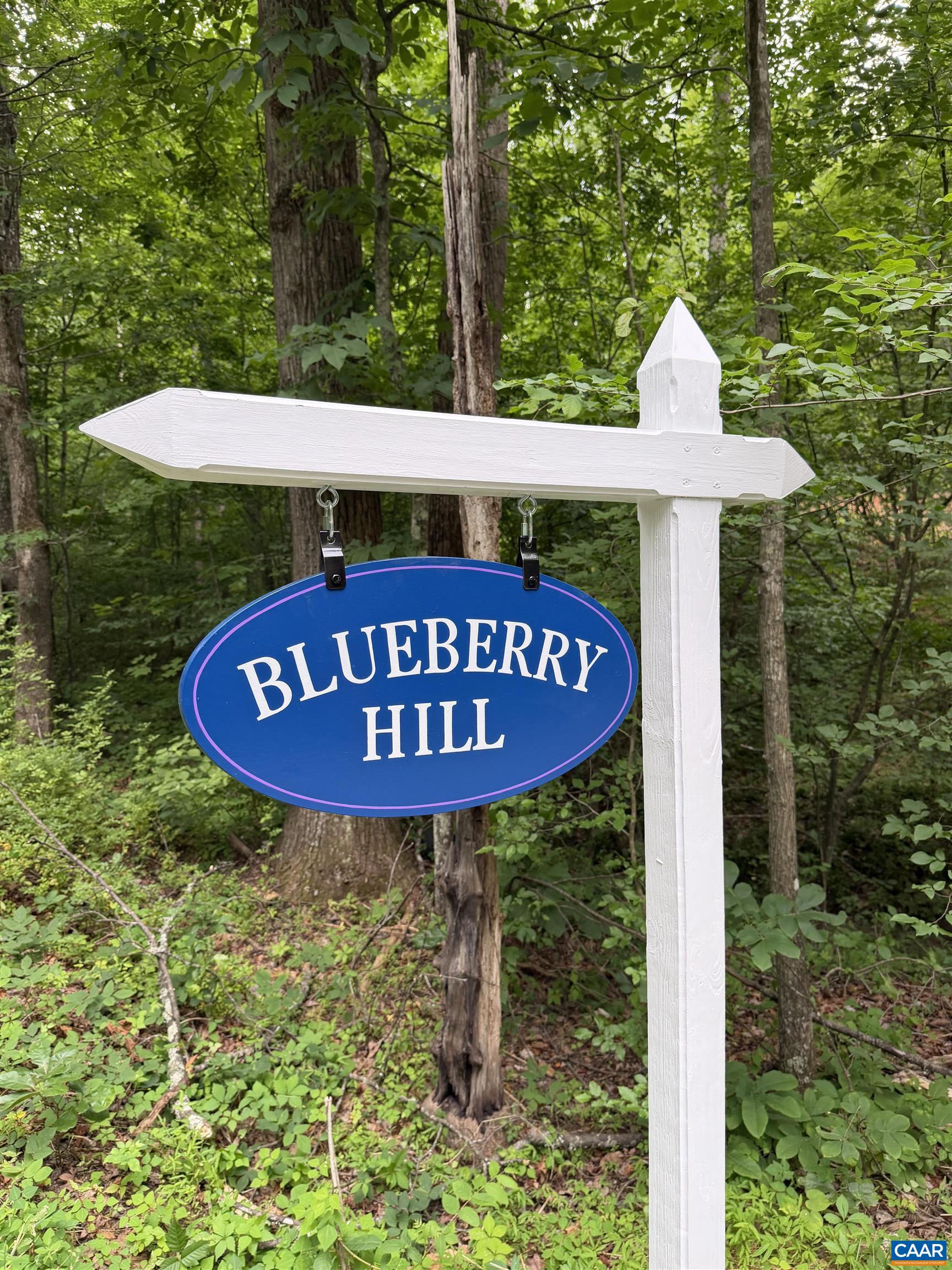 TBD GREEN CREEK RD, SCHUYLER, Virginia 22969, ,Land,Blueberry Hill,TBD GREEN CREEK RD,678622 MLS # 678622