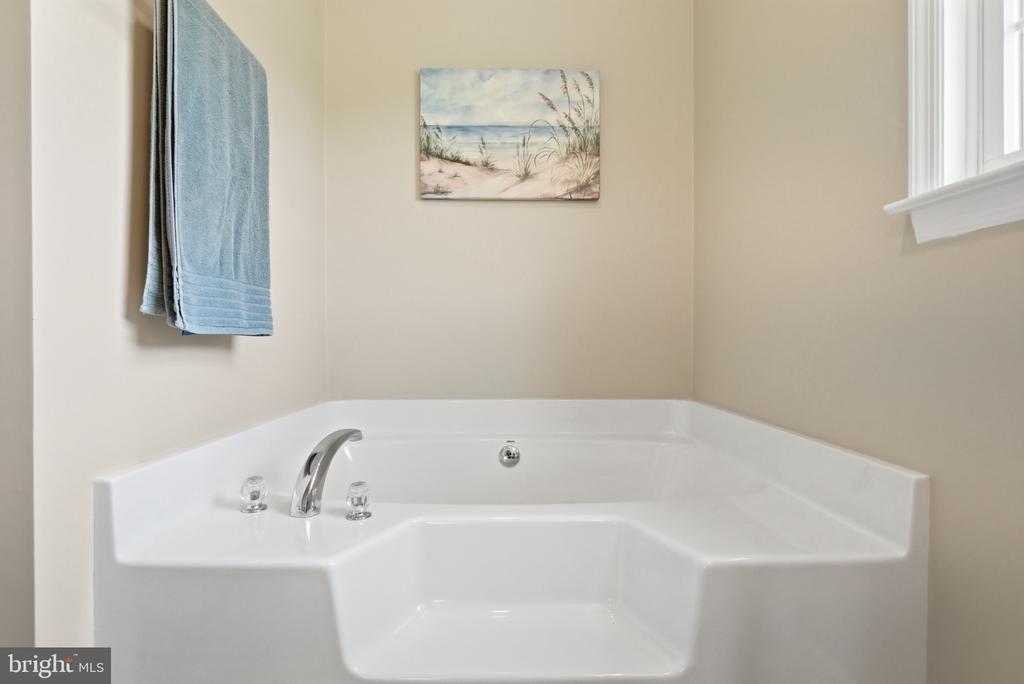 11337 OLD STILLHOUSE RD, BOSTON, Virginia 22713, 4 Bedrooms Bedrooms, ,3 BathroomsBathrooms,Residential,11337 OLD STILLHOUSE RD,VACU2013872 MLS # VACU2013872 11337 OLD STILLHOUSE RD, BOSTON, Virginia 22713, 4 Bedrooms Bedrooms, ,3 BathroomsBathrooms,Residential,11337 OLD STILLHOUSE RD,VACU2013872 MLS # VACU2013872