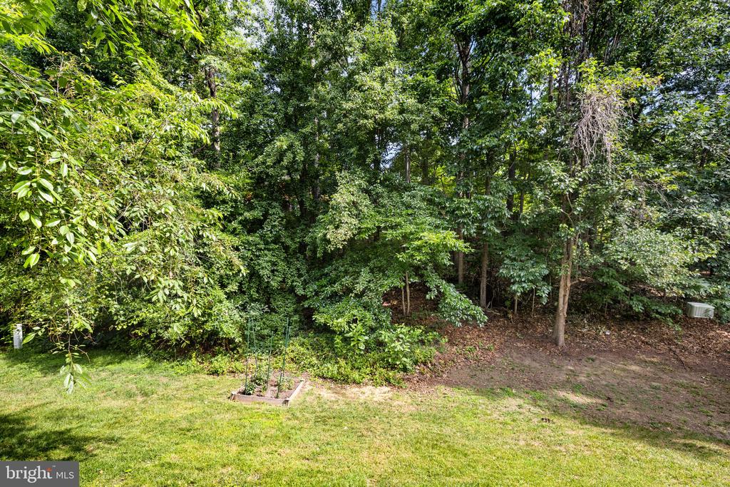 9609 BECKER CT, FREDERICKSBURG, Virginia 22408, 3 Bedrooms Bedrooms, ,2 BathroomsBathrooms,Residential,DOMINION FOREST,9609 BECKER CT,VASP2043002 MLS # VASP2043002