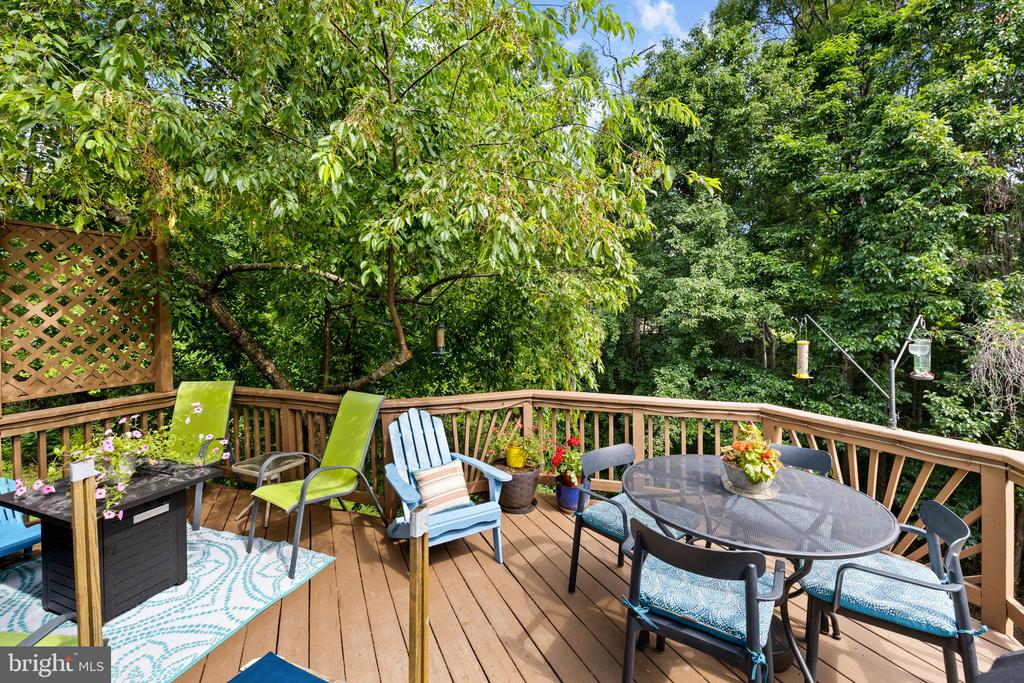9609 BECKER CT, FREDERICKSBURG, Virginia 22408, 3 Bedrooms Bedrooms, ,2 BathroomsBathrooms,Residential,DOMINION FOREST,9609 BECKER CT,VASP2043002 MLS # VASP2043002
