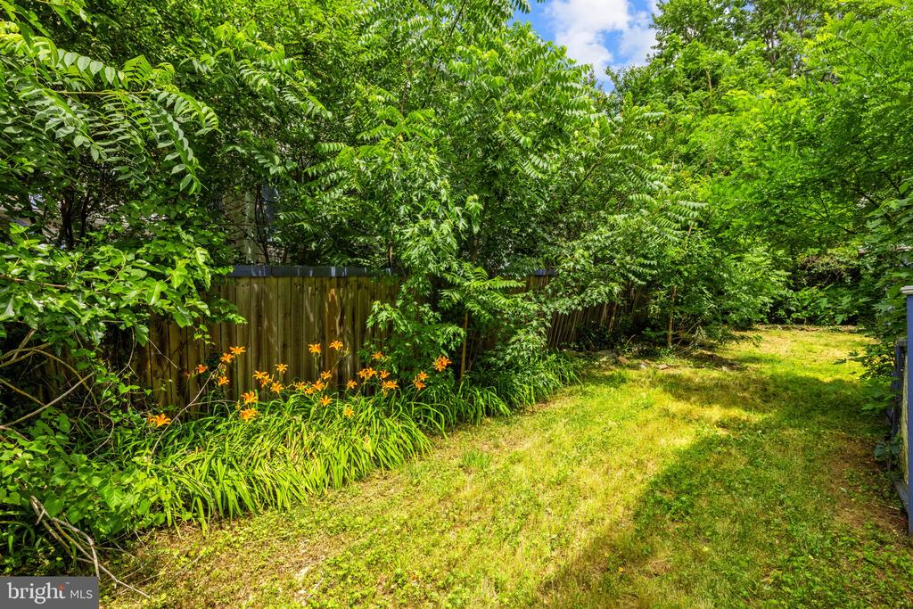 25 N 6TH ST, WARRENTON, Virginia 20186, 3 Bedrooms Bedrooms, ,3 BathroomsBathrooms,Residential,25 N 6TH ST,VAFQ2022644 MLS # VAFQ2022644 25 N 6TH ST, WARRENTON, Virginia 20186, 3 Bedrooms Bedrooms, ,3 BathroomsBathrooms,Residential,25 N 6TH ST,VAFQ2022644 MLS # VAFQ2022644