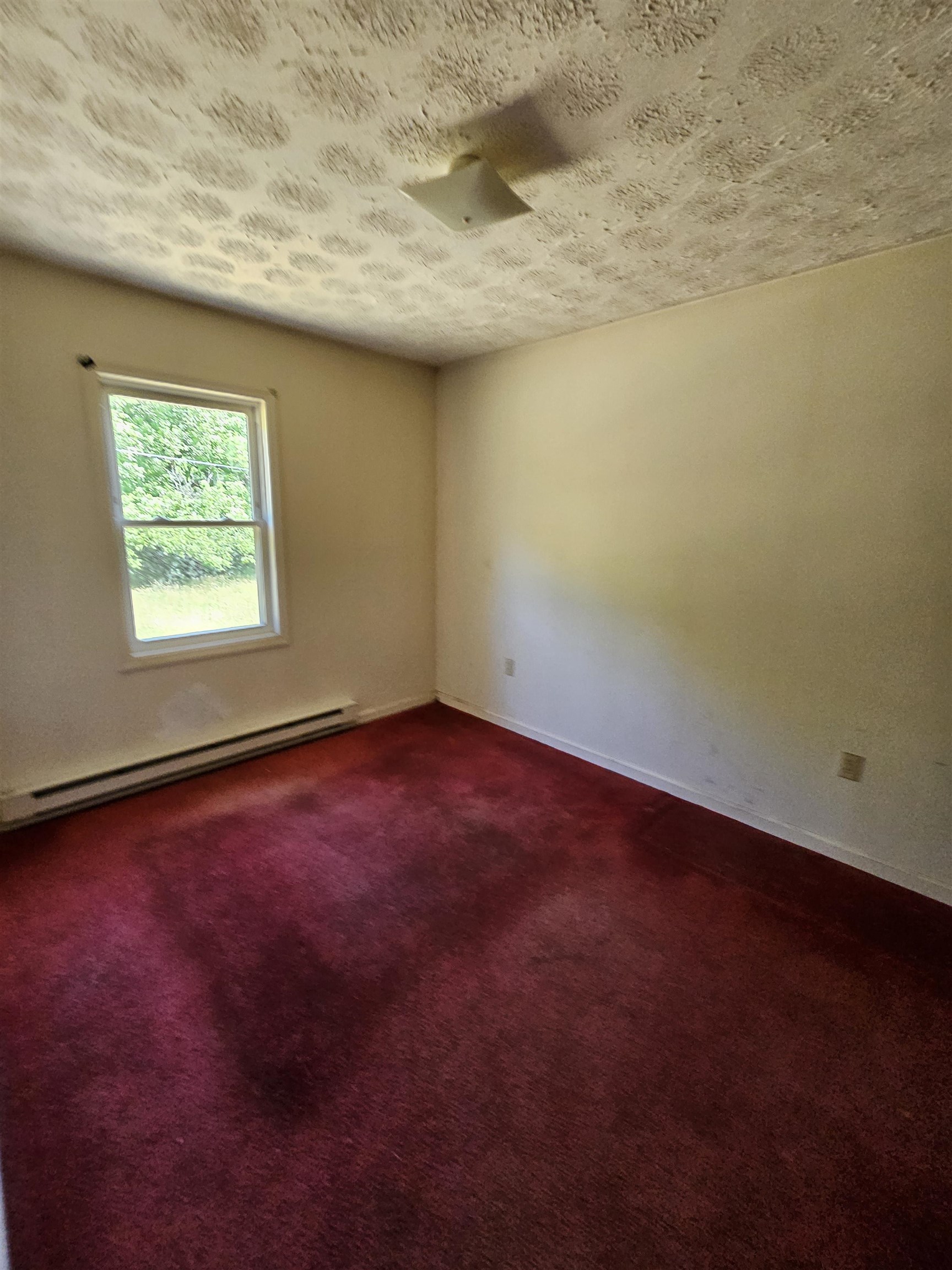 2105 COLES MOUNTAIN RD, HOT SPRINGS, Virginia 24445, 1 Bedroom Bedrooms, ,1 BathroomBathrooms,Residential,Coles Mountain Retreat,2105 COLES MOUNTAIN RD,678606 MLS # 678606