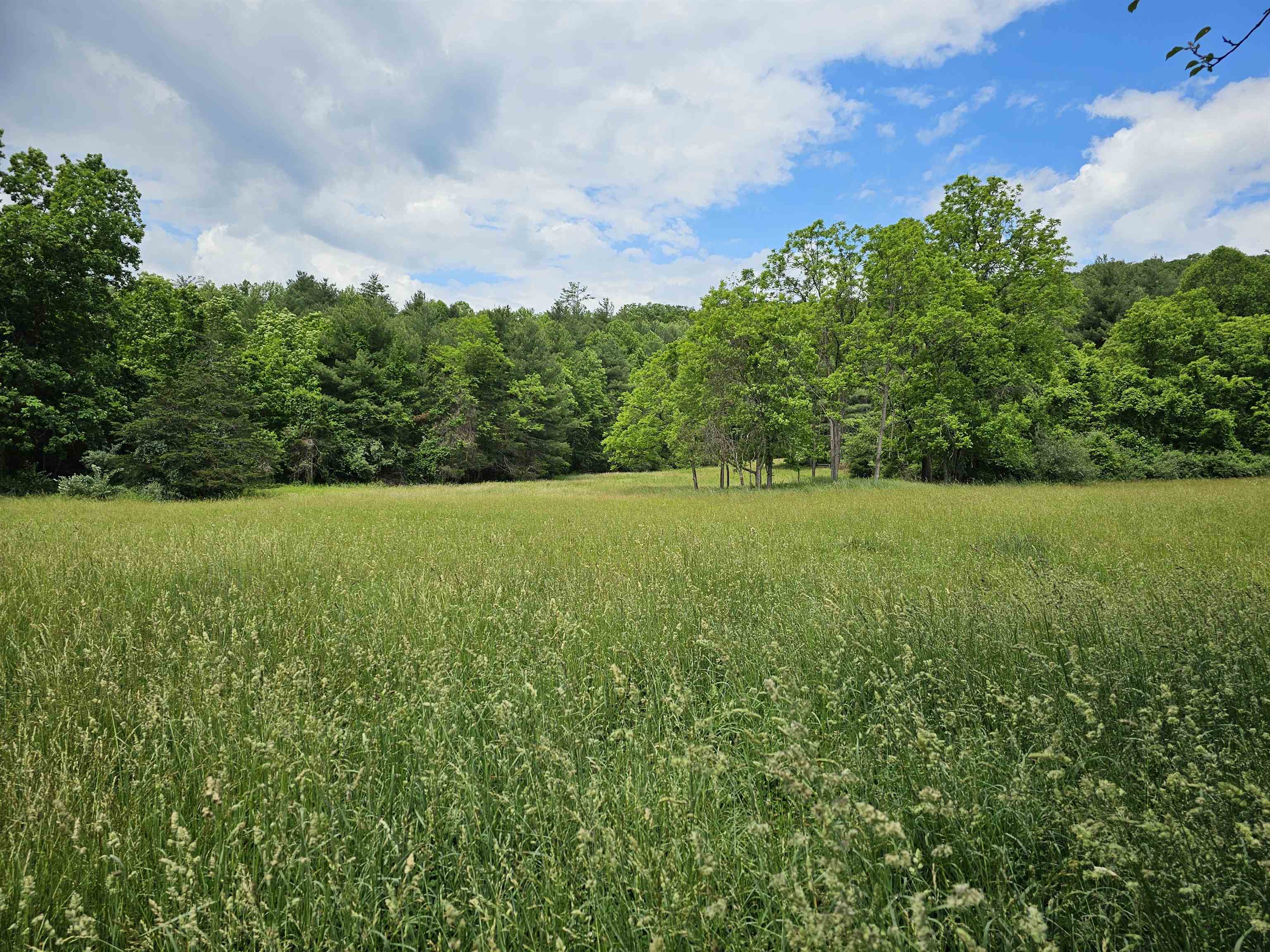 2105 COLES MOUNTAIN RD, HOT SPRINGS, Virginia 24445, 1 Bedroom Bedrooms, ,1 BathroomBathrooms,Residential,Coles Mountain Retreat,2105 COLES MOUNTAIN RD,678606 MLS # 678606