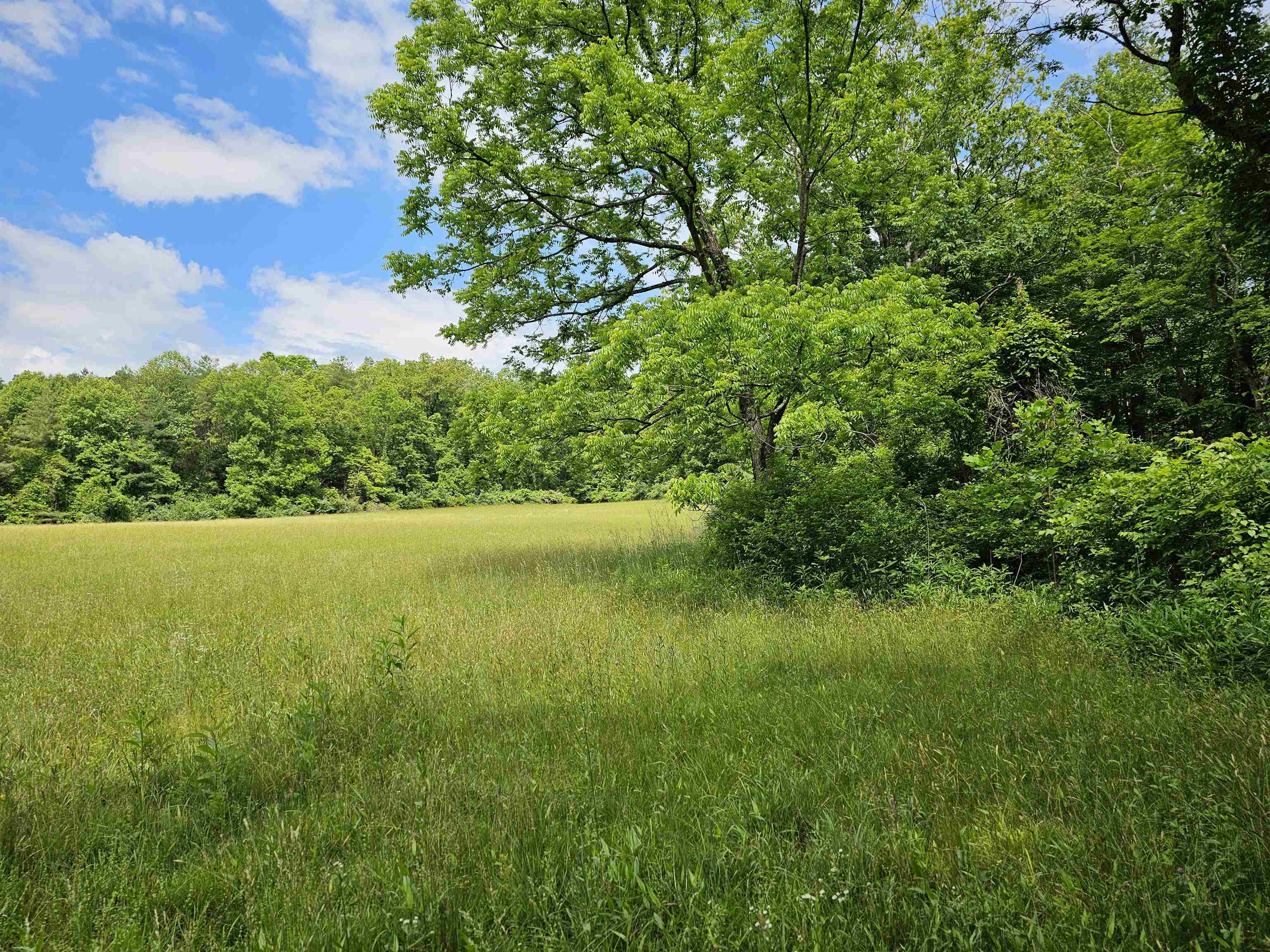 2105 COLES MOUNTAIN RD, HOT SPRINGS, Virginia 24445, 1 Bedroom Bedrooms, ,1 BathroomBathrooms,Residential,Coles Mountain Retreat,2105 COLES MOUNTAIN RD,678606 MLS # 678606