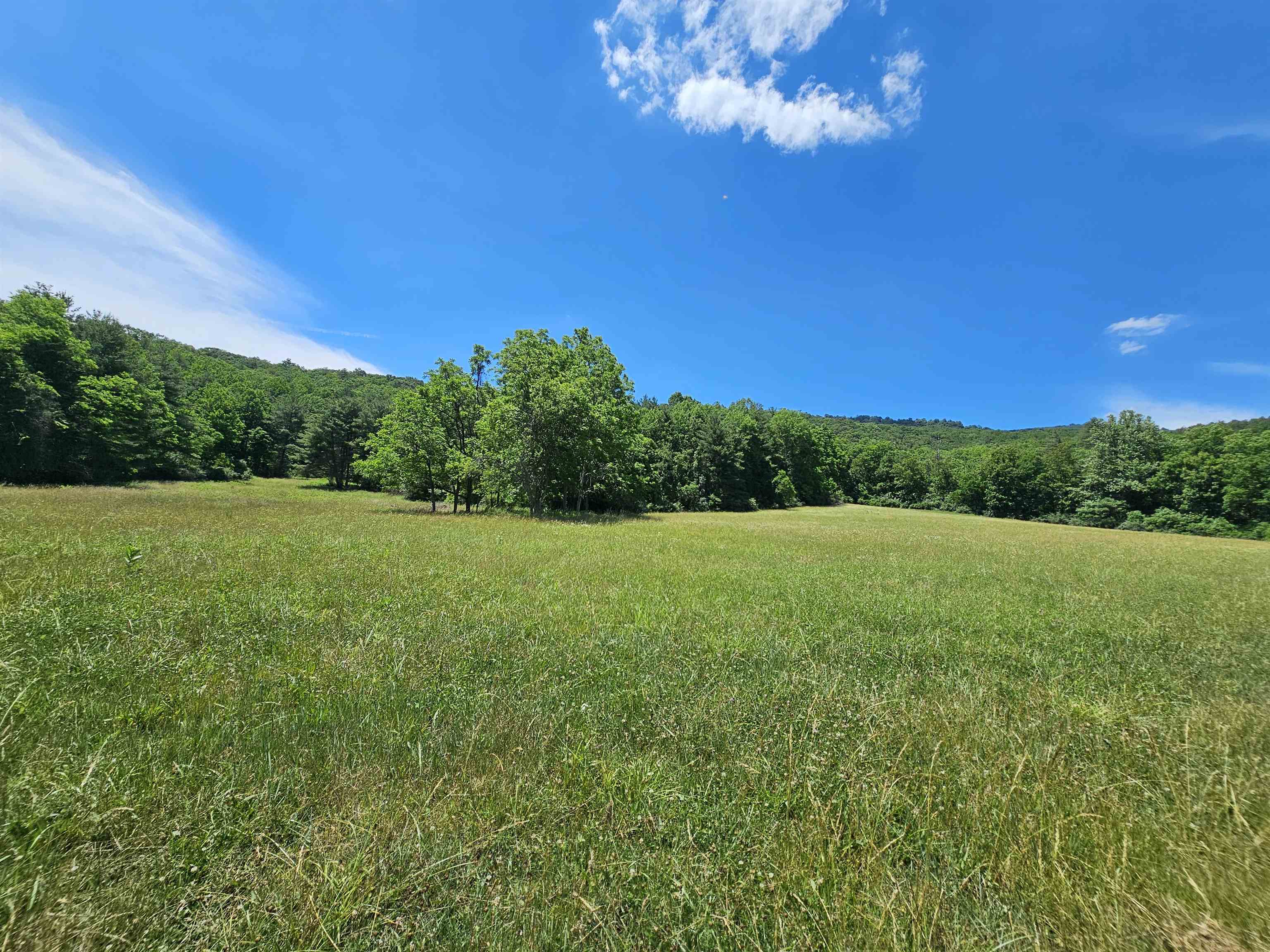 2105 COLES MOUNTAIN RD, HOT SPRINGS, Virginia 24445, 1 Bedroom Bedrooms, ,1 BathroomBathrooms,Residential,Coles Mountain Retreat,2105 COLES MOUNTAIN RD,678606 MLS # 678606