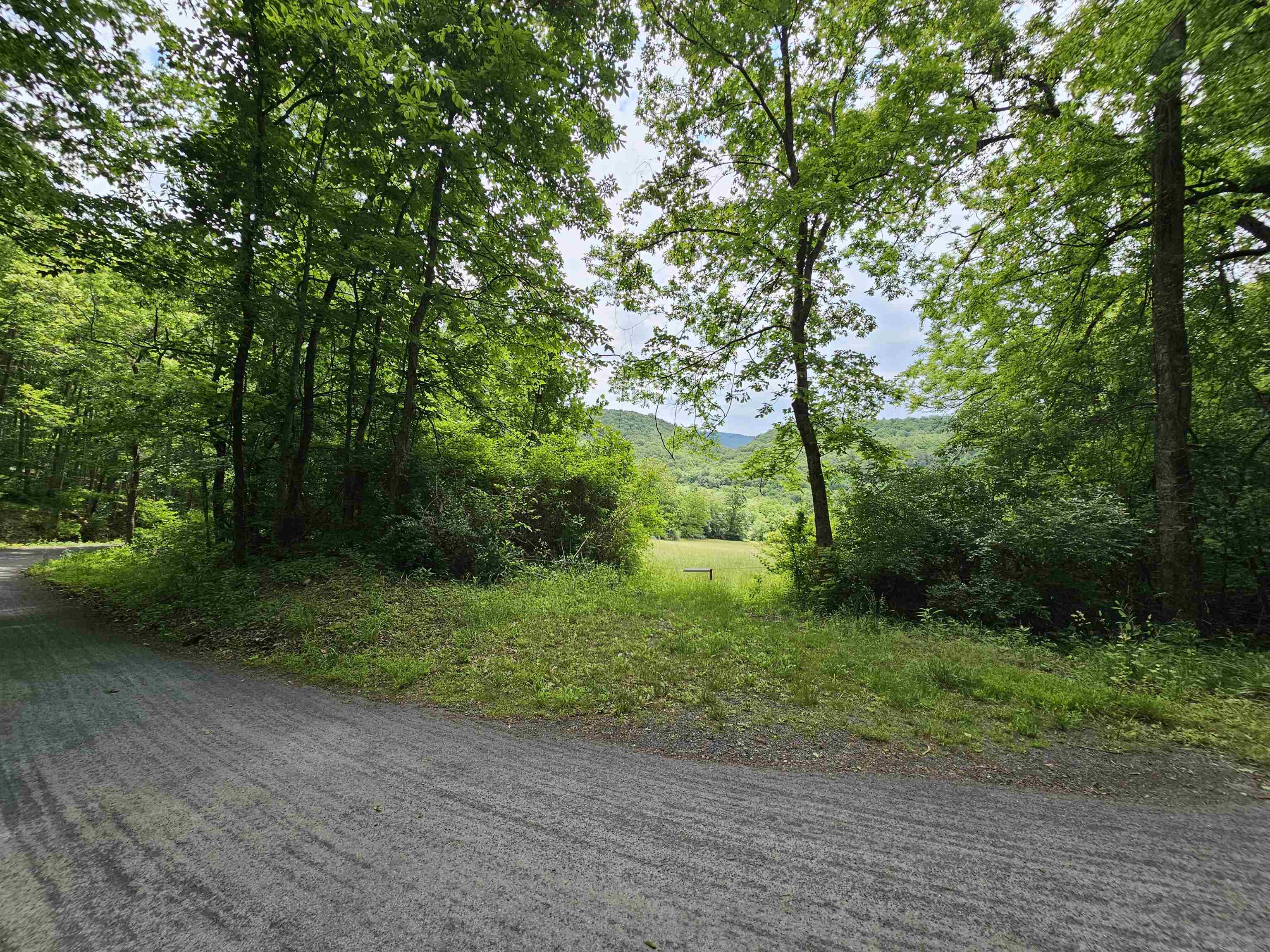 2105 COLES MOUNTAIN RD, HOT SPRINGS, Virginia 24445, 1 Bedroom Bedrooms, ,1 BathroomBathrooms,Residential,Coles Mountain Retreat,2105 COLES MOUNTAIN RD,678606 MLS # 678606