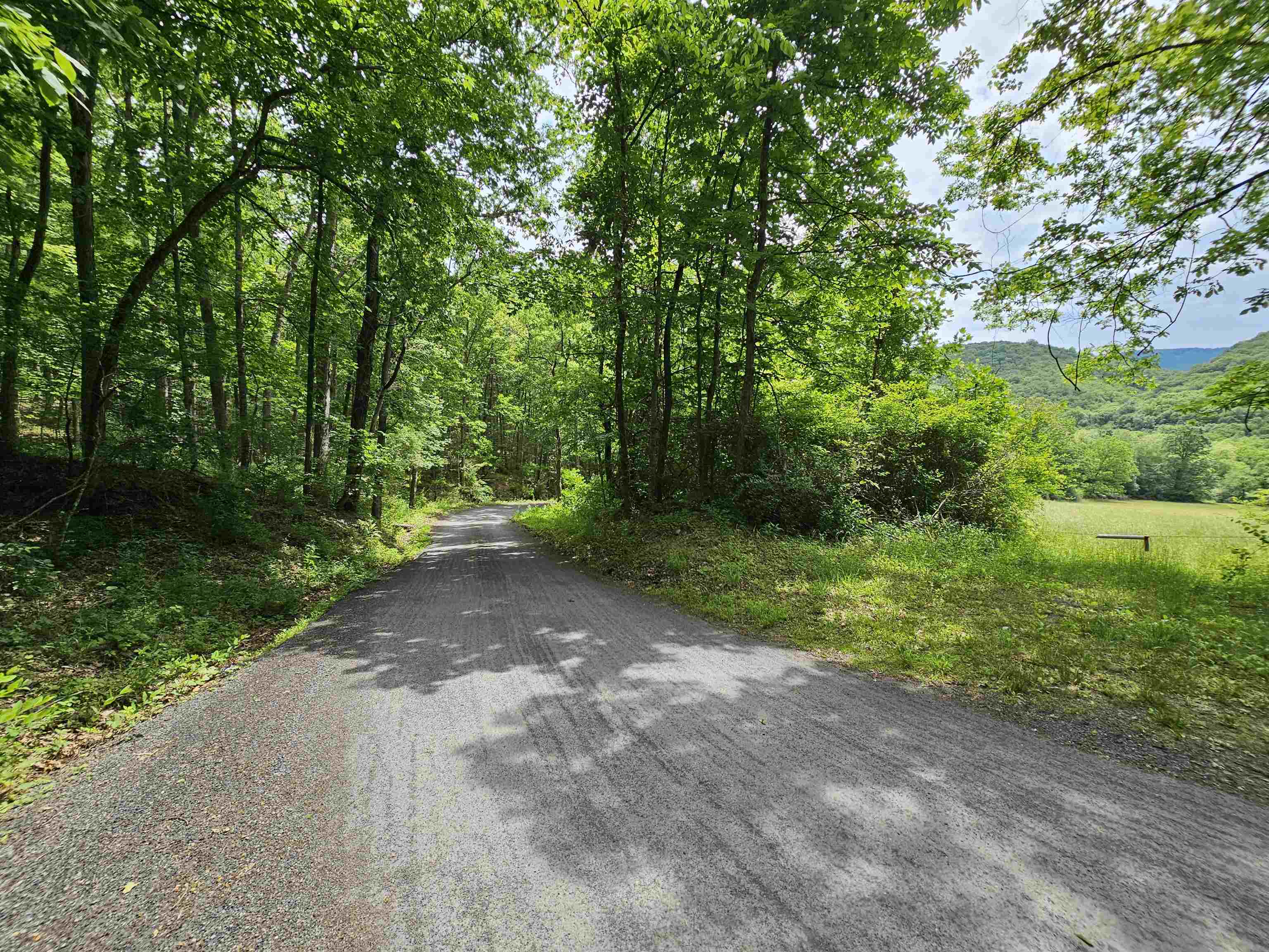 2105 COLES MOUNTAIN RD, HOT SPRINGS, Virginia 24445, 1 Bedroom Bedrooms, ,1 BathroomBathrooms,Residential,Coles Mountain Retreat,2105 COLES MOUNTAIN RD,678606 MLS # 678606