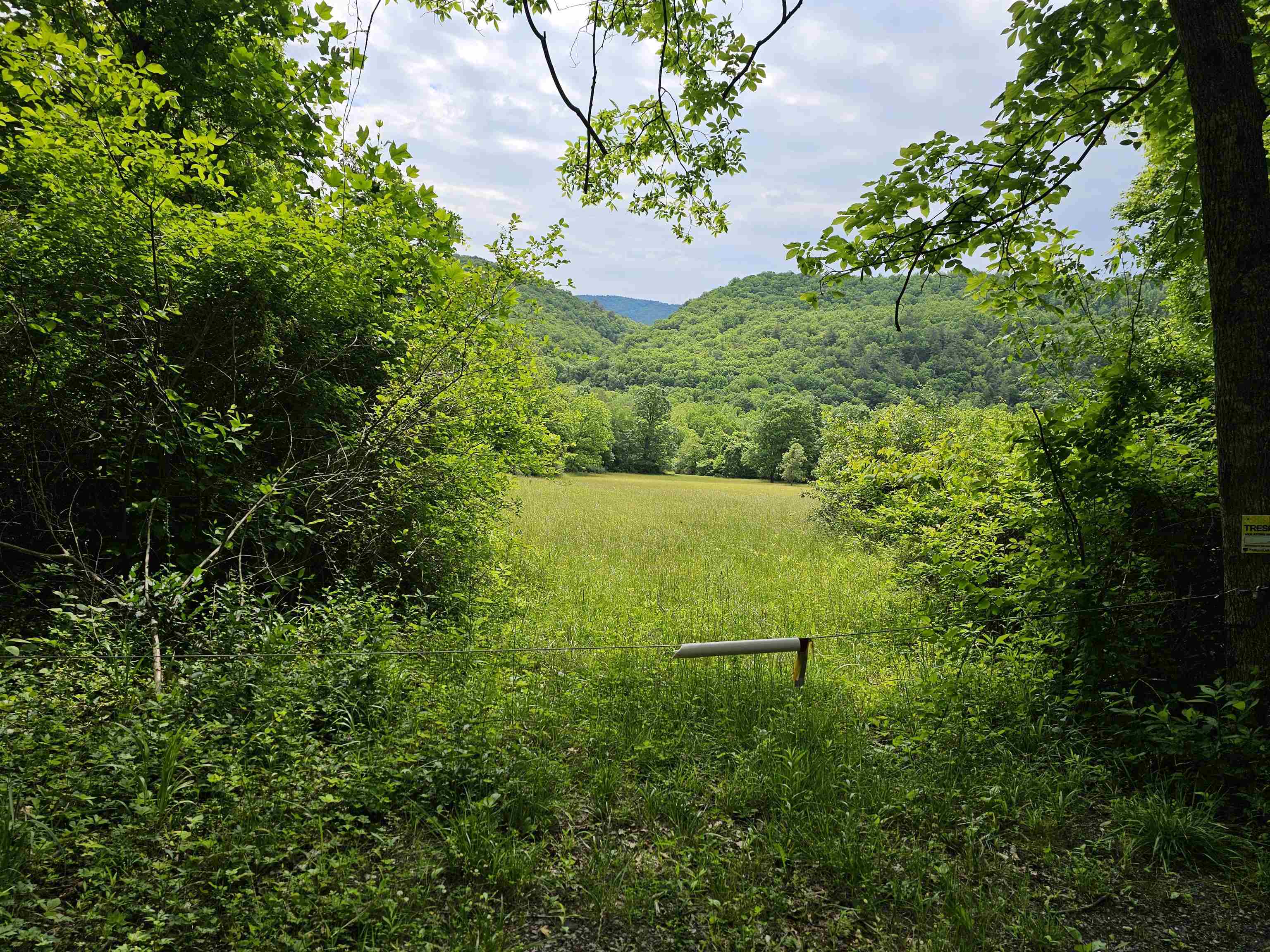 2105 COLES MOUNTAIN RD, HOT SPRINGS, Virginia 24445, 1 Bedroom Bedrooms, ,1 BathroomBathrooms,Residential,Coles Mountain Retreat,2105 COLES MOUNTAIN RD,678606 MLS # 678606