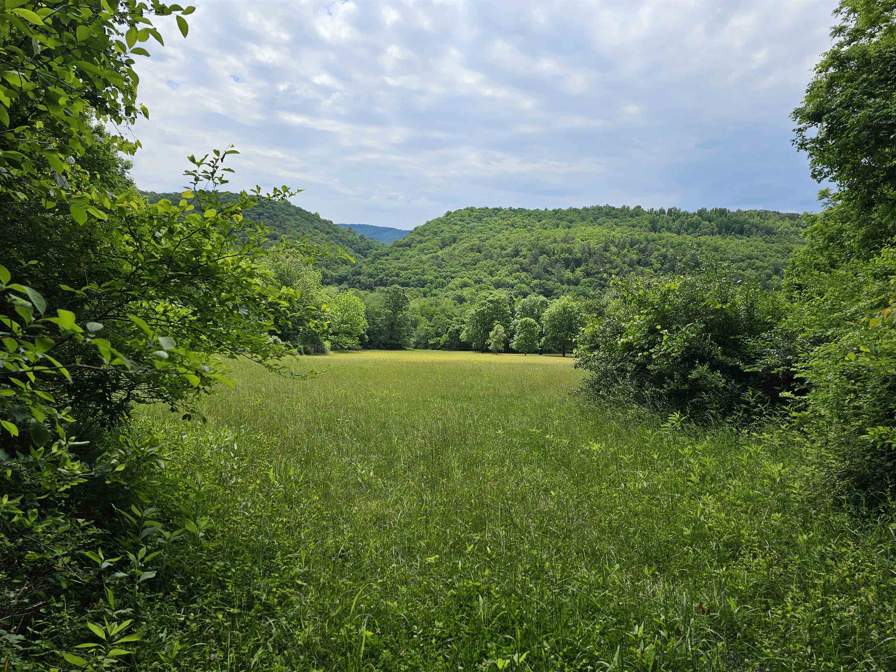 2105 COLES MOUNTAIN RD, HOT SPRINGS, Virginia 24445, 1 Bedroom Bedrooms, ,1 BathroomBathrooms,Residential,Coles Mountain Retreat,2105 COLES MOUNTAIN RD,678606 MLS # 678606