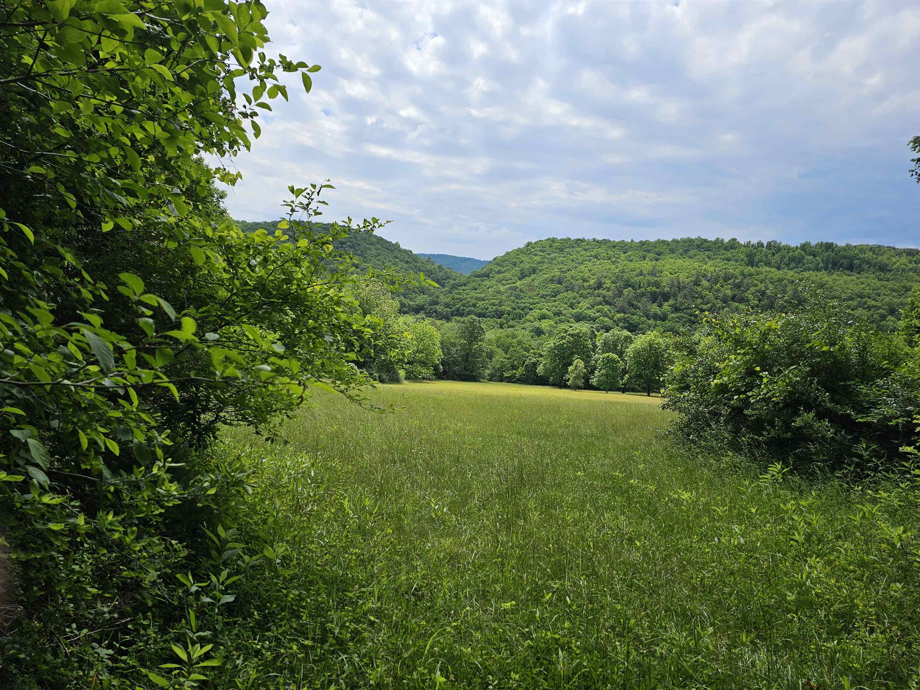 2105 COLES MOUNTAIN RD, HOT SPRINGS, Virginia 24445, 1 Bedroom Bedrooms, ,1 BathroomBathrooms,Residential,Coles Mountain Retreat,2105 COLES MOUNTAIN RD,678606 MLS # 678606