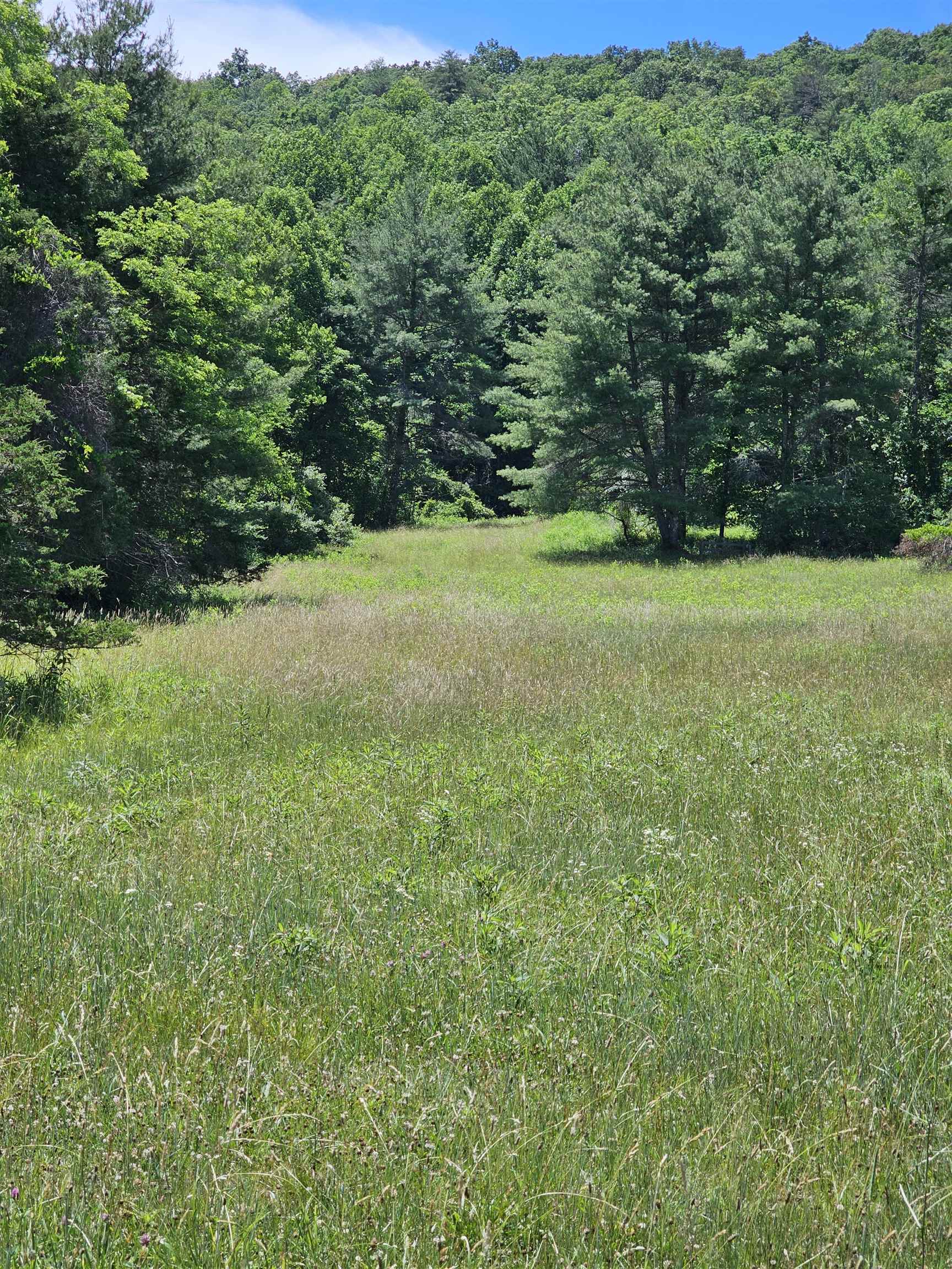 2105 COLES MOUNTAIN RD, HOT SPRINGS, Virginia 24445, 1 Bedroom Bedrooms, ,1 BathroomBathrooms,Residential,Coles Mountain Retreat,2105 COLES MOUNTAIN RD,678606 MLS # 678606