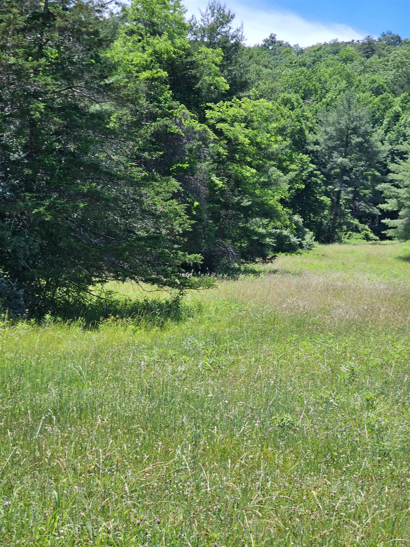 2105 COLES MOUNTAIN RD, HOT SPRINGS, Virginia 24445, 1 Bedroom Bedrooms, ,1 BathroomBathrooms,Residential,Coles Mountain Retreat,2105 COLES MOUNTAIN RD,678606 MLS # 678606