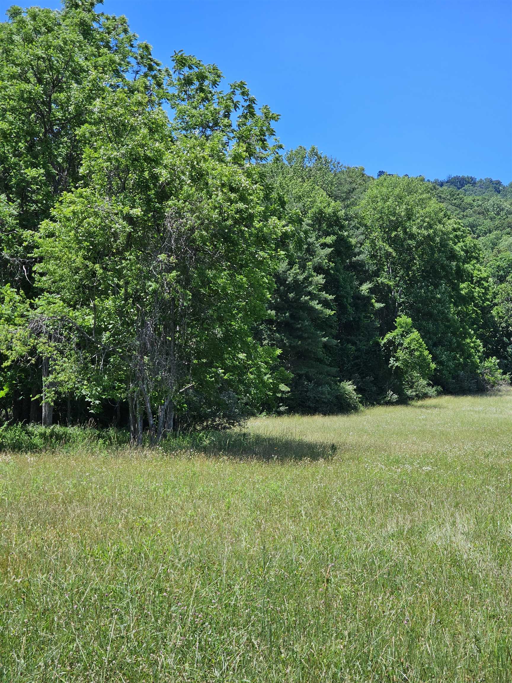 2105 COLES MOUNTAIN RD, HOT SPRINGS, Virginia 24445, 1 Bedroom Bedrooms, ,1 BathroomBathrooms,Residential,Coles Mountain Retreat,2105 COLES MOUNTAIN RD,678606 MLS # 678606
