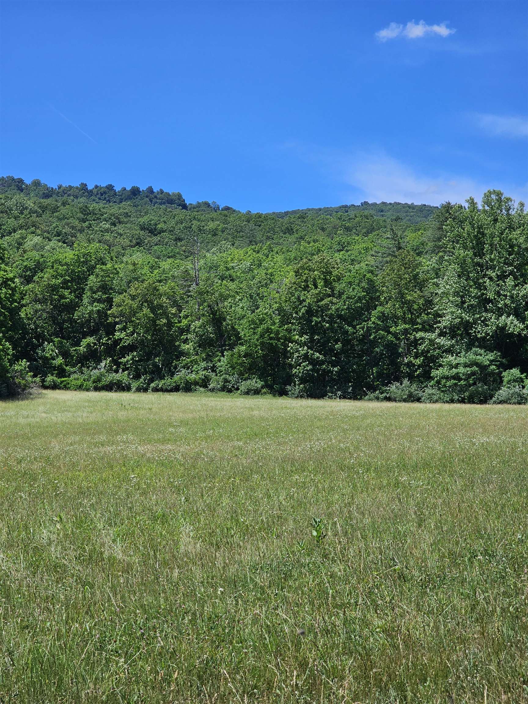 2105 COLES MOUNTAIN RD, HOT SPRINGS, Virginia 24445, 1 Bedroom Bedrooms, ,1 BathroomBathrooms,Residential,Coles Mountain Retreat,2105 COLES MOUNTAIN RD,678606 MLS # 678606