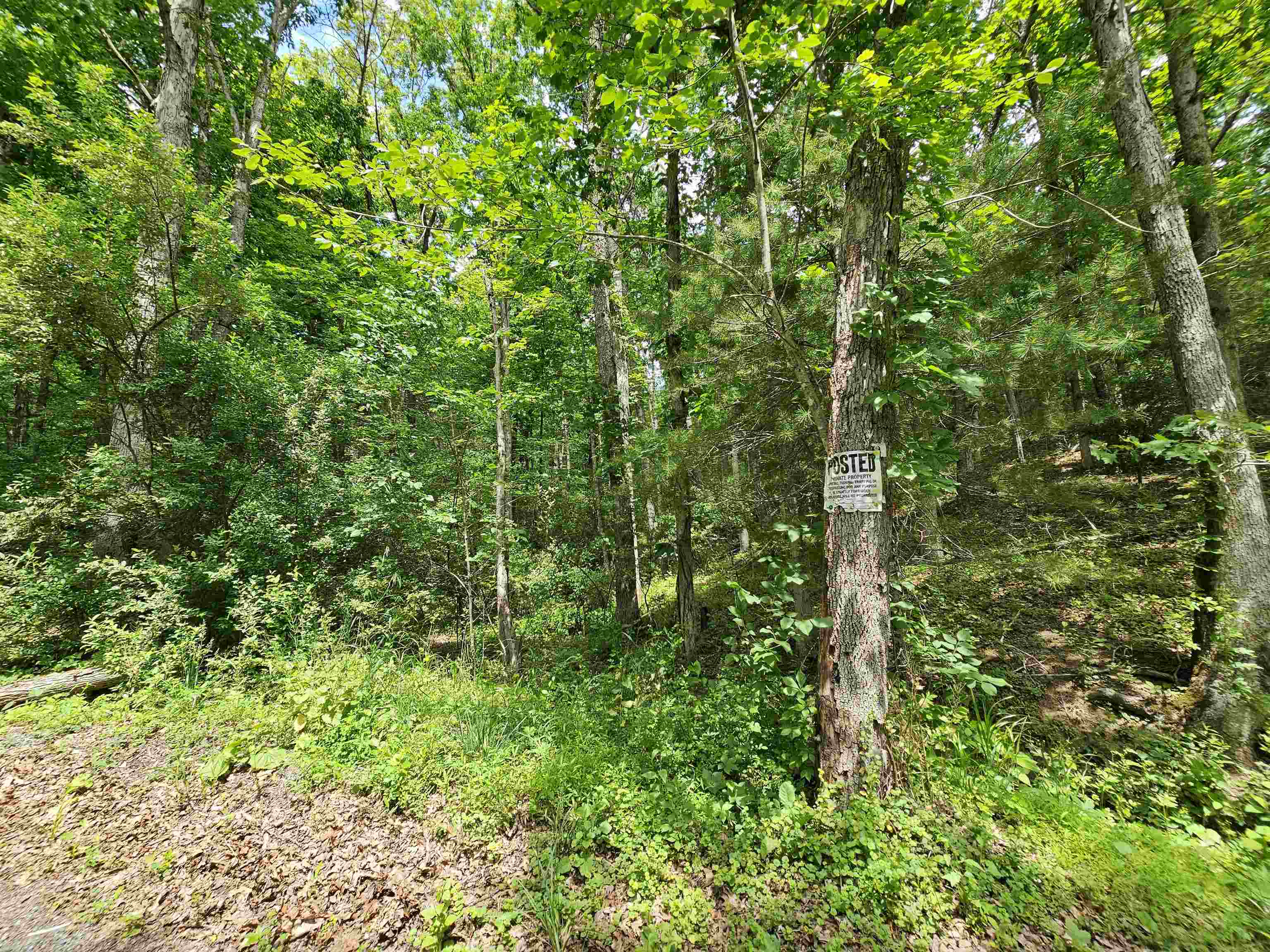 2105 COLES MOUNTAIN RD, HOT SPRINGS, Virginia 24445, 1 Bedroom Bedrooms, ,1 BathroomBathrooms,Residential,Coles Mountain Retreat,2105 COLES MOUNTAIN RD,678606 MLS # 678606