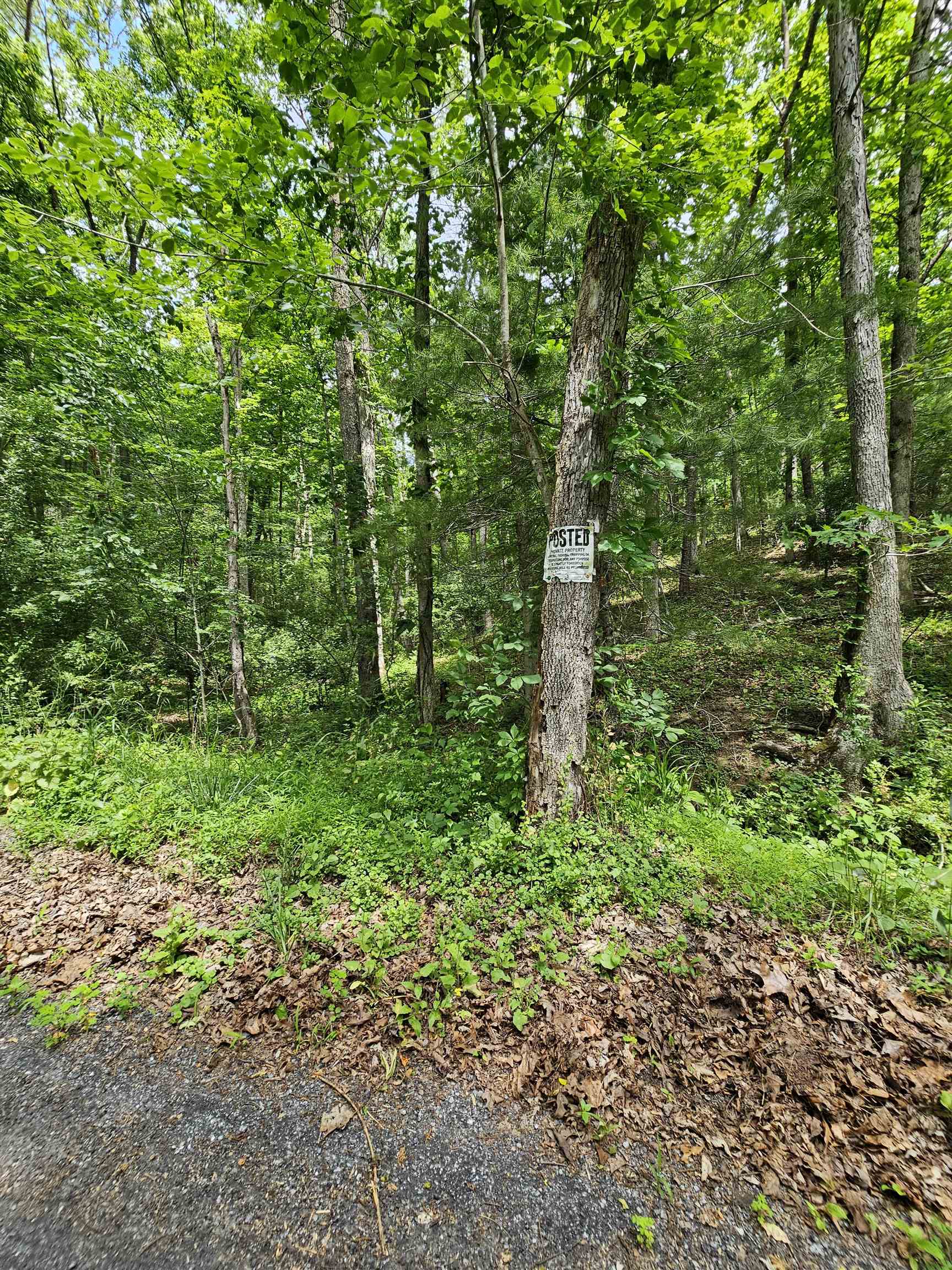 2105 COLES MOUNTAIN RD, HOT SPRINGS, Virginia 24445, 1 Bedroom Bedrooms, ,1 BathroomBathrooms,Residential,Coles Mountain Retreat,2105 COLES MOUNTAIN RD,678606 MLS # 678606