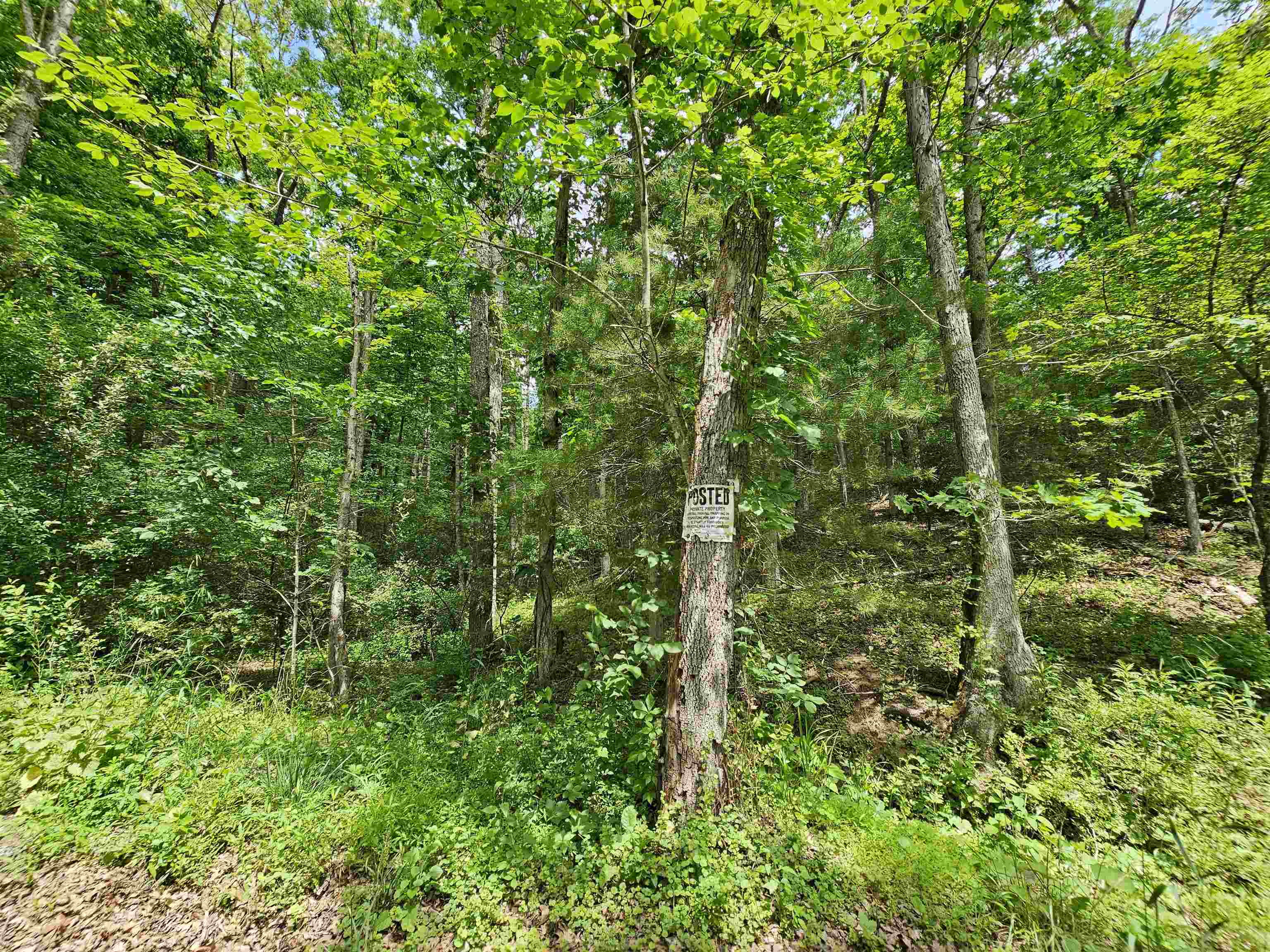 2105 COLES MOUNTAIN RD, HOT SPRINGS, Virginia 24445, 1 Bedroom Bedrooms, ,1 BathroomBathrooms,Residential,Coles Mountain Retreat,2105 COLES MOUNTAIN RD,678606 MLS # 678606