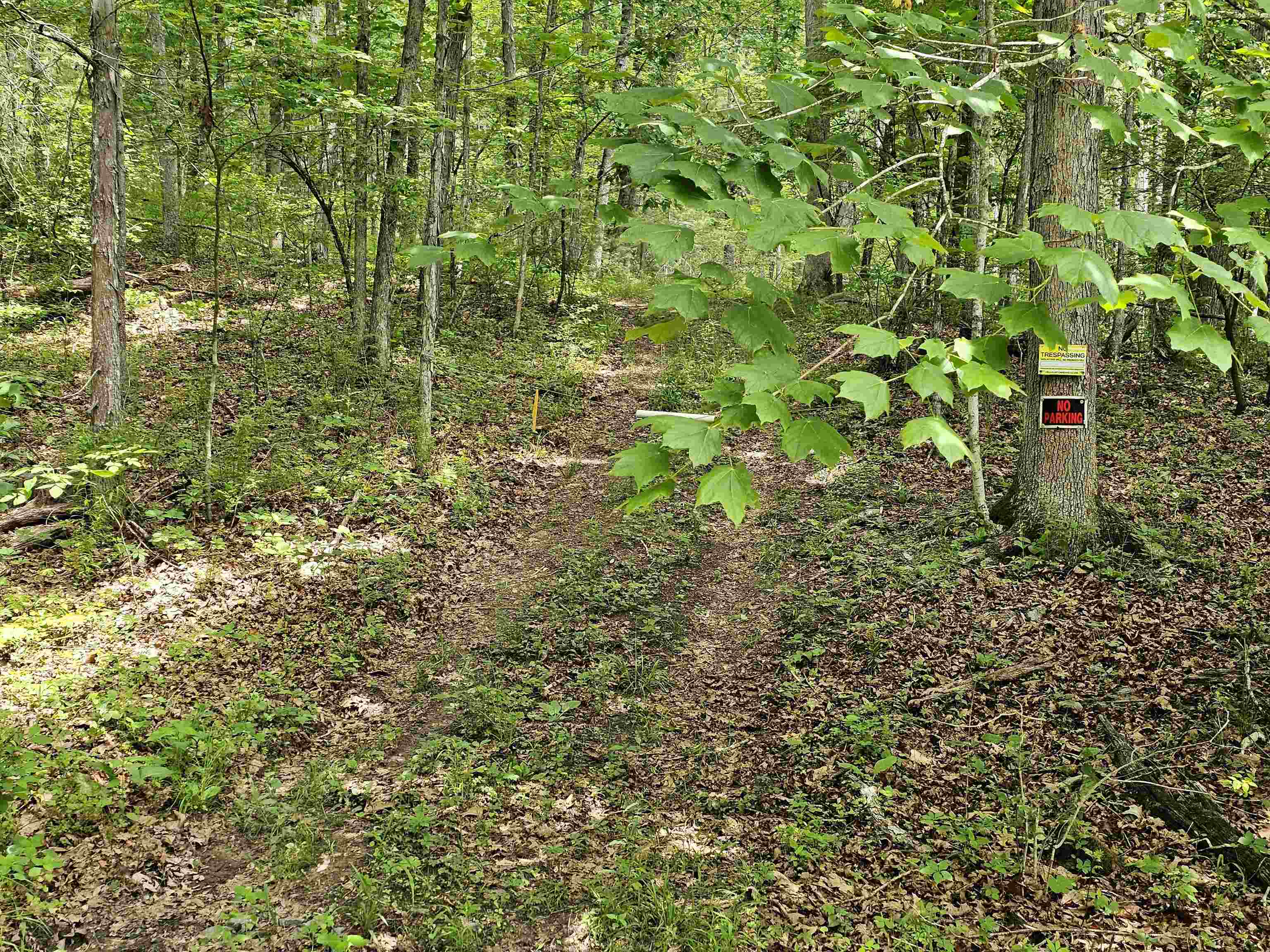 2105 COLES MOUNTAIN RD, HOT SPRINGS, Virginia 24445, 1 Bedroom Bedrooms, ,1 BathroomBathrooms,Residential,Coles Mountain Retreat,2105 COLES MOUNTAIN RD,678606 MLS # 678606