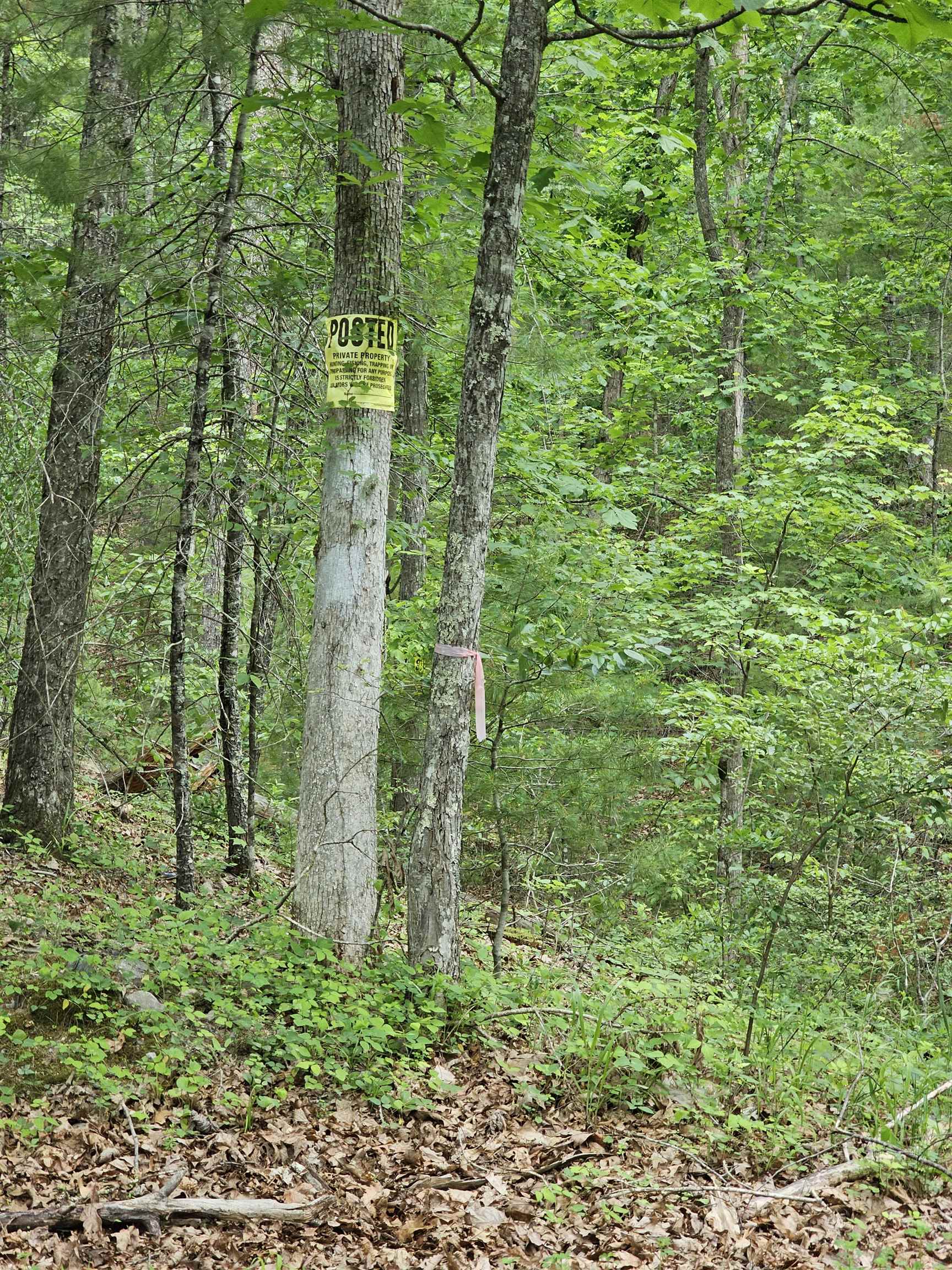 2105 COLES MOUNTAIN RD, HOT SPRINGS, Virginia 24445, 1 Bedroom Bedrooms, ,1 BathroomBathrooms,Residential,Coles Mountain Retreat,2105 COLES MOUNTAIN RD,678606 MLS # 678606