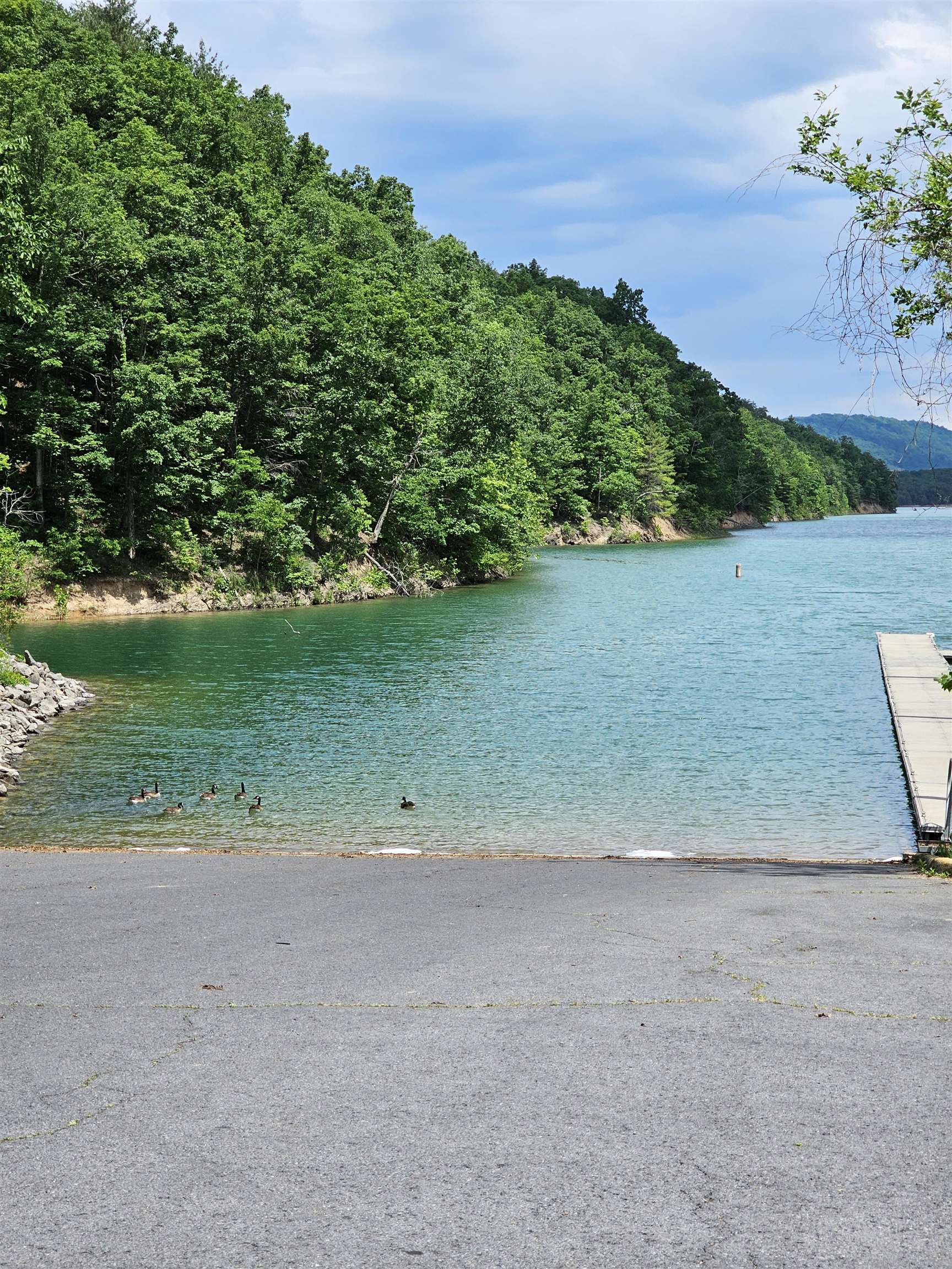 2105 COLES MOUNTAIN RD, HOT SPRINGS, Virginia 24445, 1 Bedroom Bedrooms, ,1 BathroomBathrooms,Residential,Coles Mountain Retreat,2105 COLES MOUNTAIN RD,678606 MLS # 678606