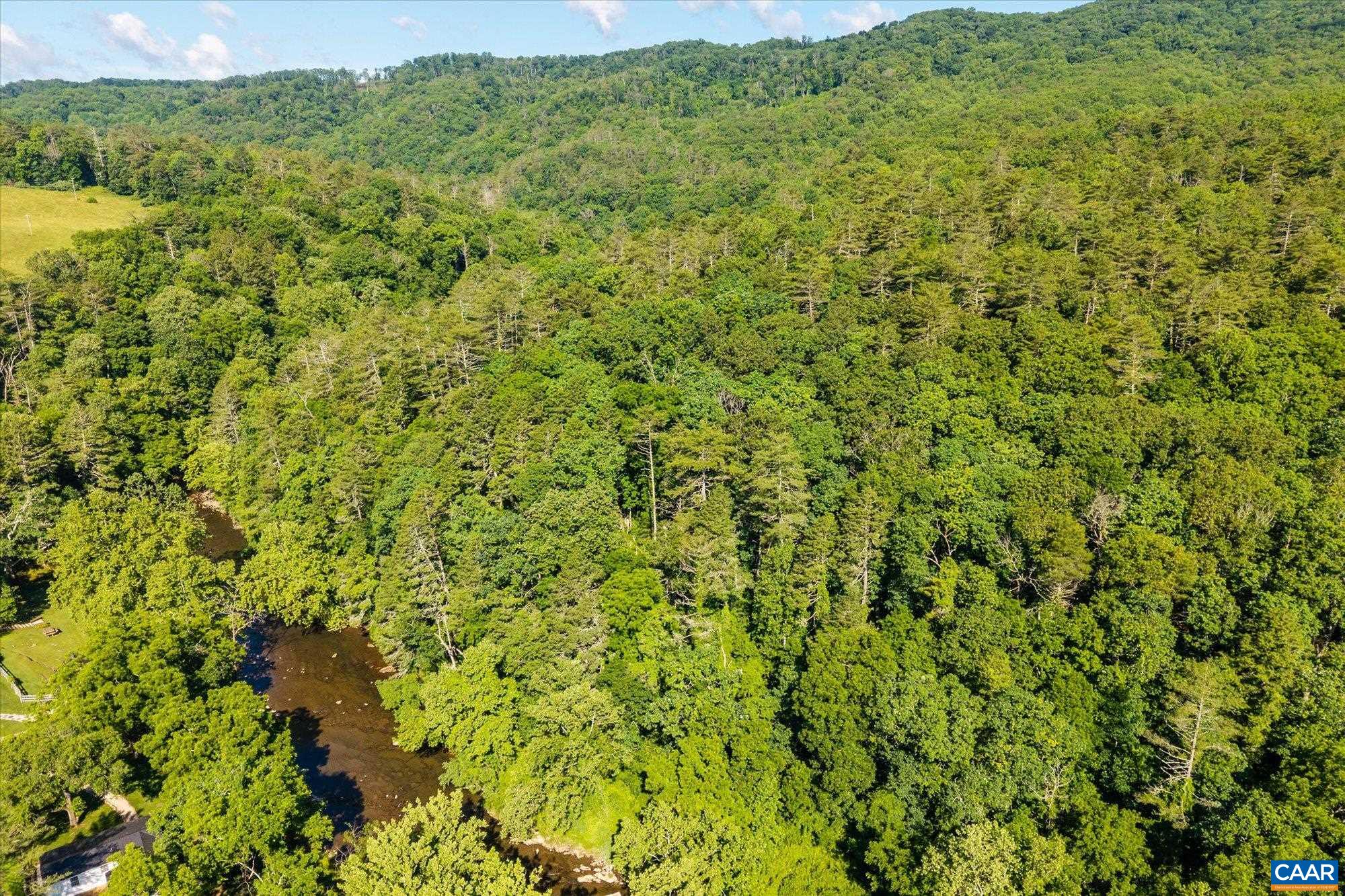 7449 RICHARDSON GORGE RD, HOT SPRINGS, Virginia 24445, 6 Bedrooms Bedrooms, ,5 BathroomsBathrooms,Residential,Folly Farm,7449 RICHARDSON GORGE RD,678608 MLS # 678608 7449 RICHARDSON GORGE RD, HOT SPRINGS, Virginia 24445, 6 Bedrooms Bedrooms, ,5 BathroomsBathrooms,Residential,Folly Farm,7449 RICHARDSON GORGE RD,678608 MLS # 678608
