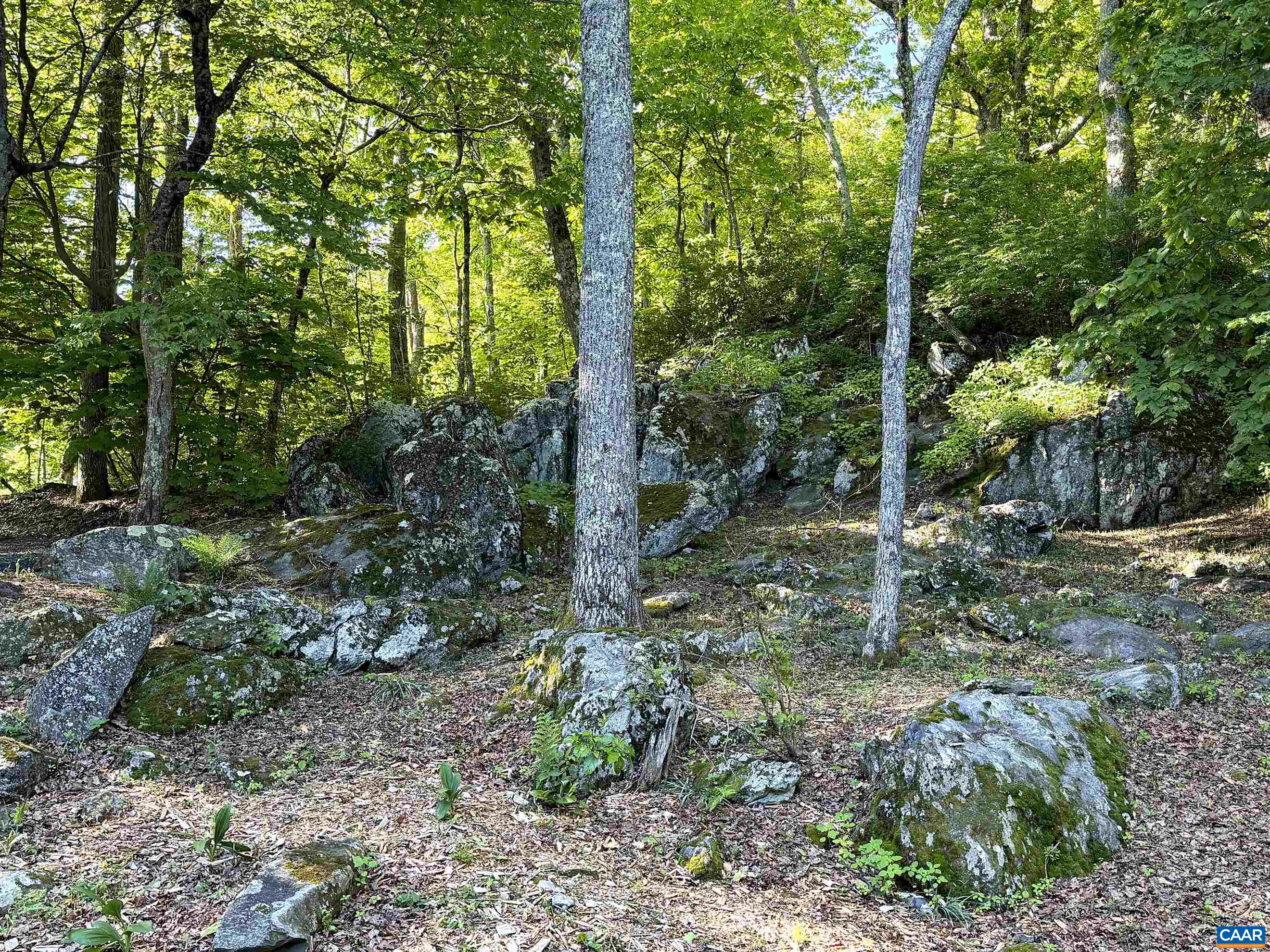 Enjoy your morning coffee while admiring the spectacular rock formations that grace the front yard and define this property's unique character. Enjoy your morning coffee while admiring the spectacular rock formations that grace the front yard and define this property's unique character.