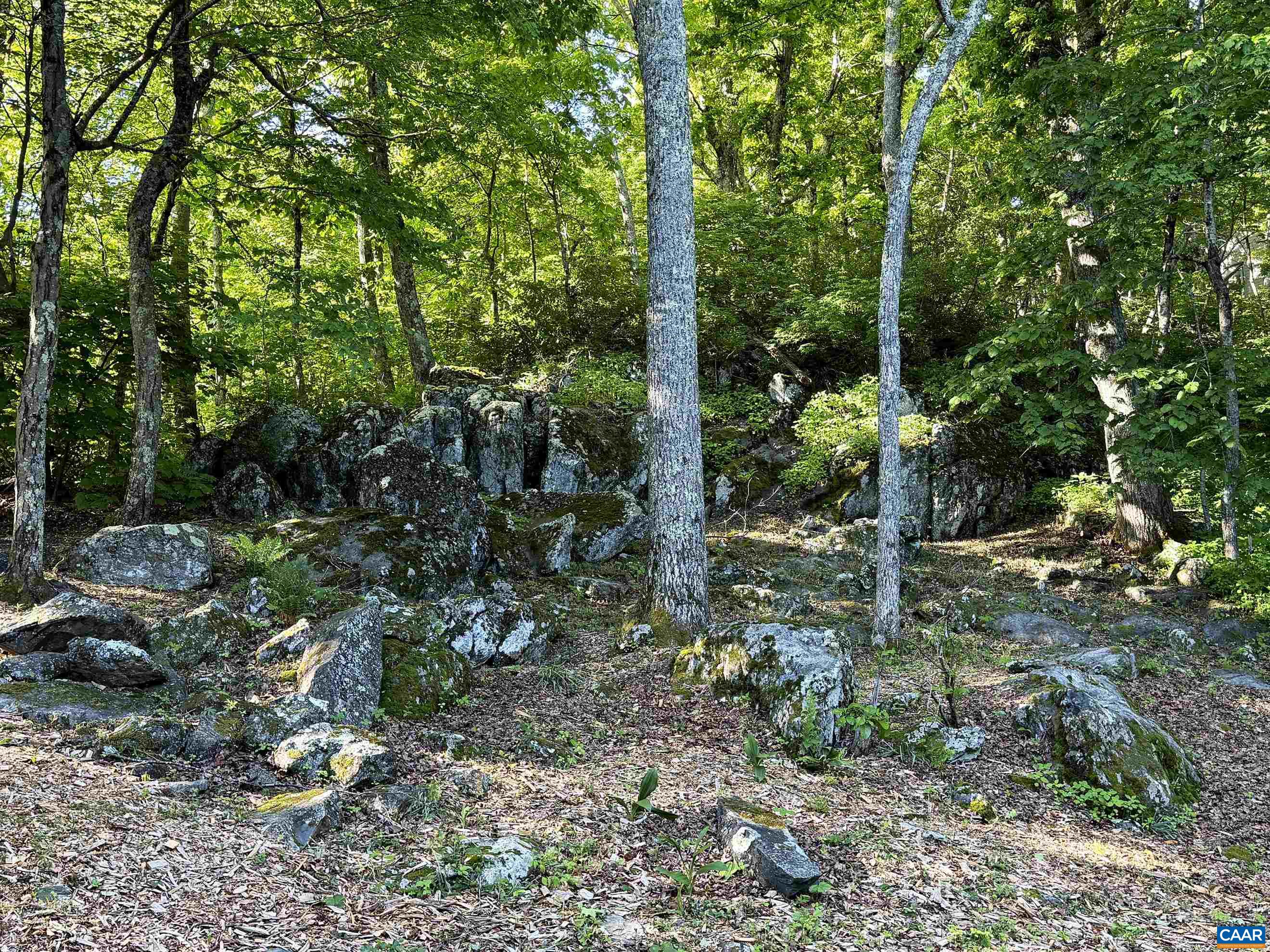 20 BUCKHORN LN, WINTERGREEN RESORT, Virginia 22967, 4 Bedrooms Bedrooms, ,2 BathroomsBathrooms,Residential,20 BUCKHORN LN,678617 MLS # 678617 20 BUCKHORN LN, WINTERGREEN RESORT, Virginia 22967, 4 Bedrooms Bedrooms, ,2 BathroomsBathrooms,Residential,20 BUCKHORN LN,678617 MLS # 678617