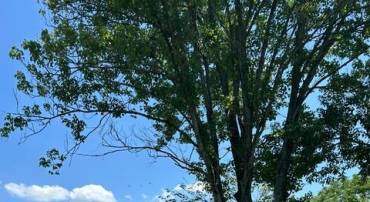 6522 OLD PLANK RD, FREDERICKSBURG, Virginia 22407, 2 Bedrooms Bedrooms, ,1 BathroomBathrooms,Residential,6522 OLD PLANK RD,VASP2042884 MLS # VASP2042884